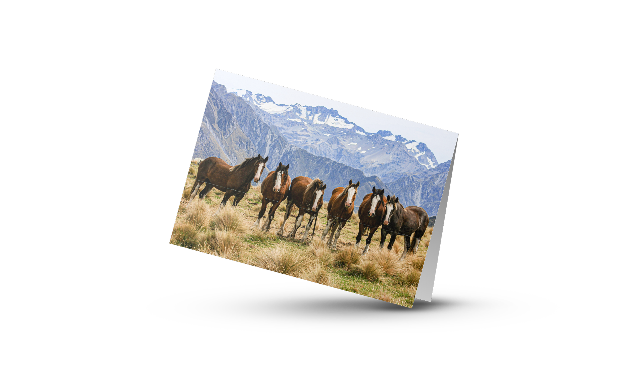 Erewhon Babies - Card
