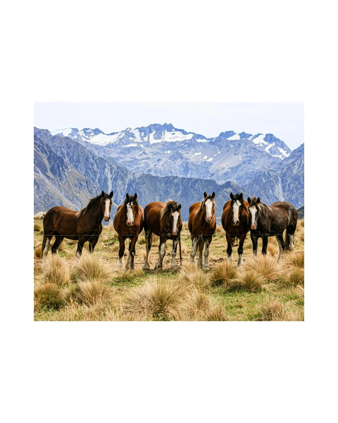Erewhon Babies - Unframed Print