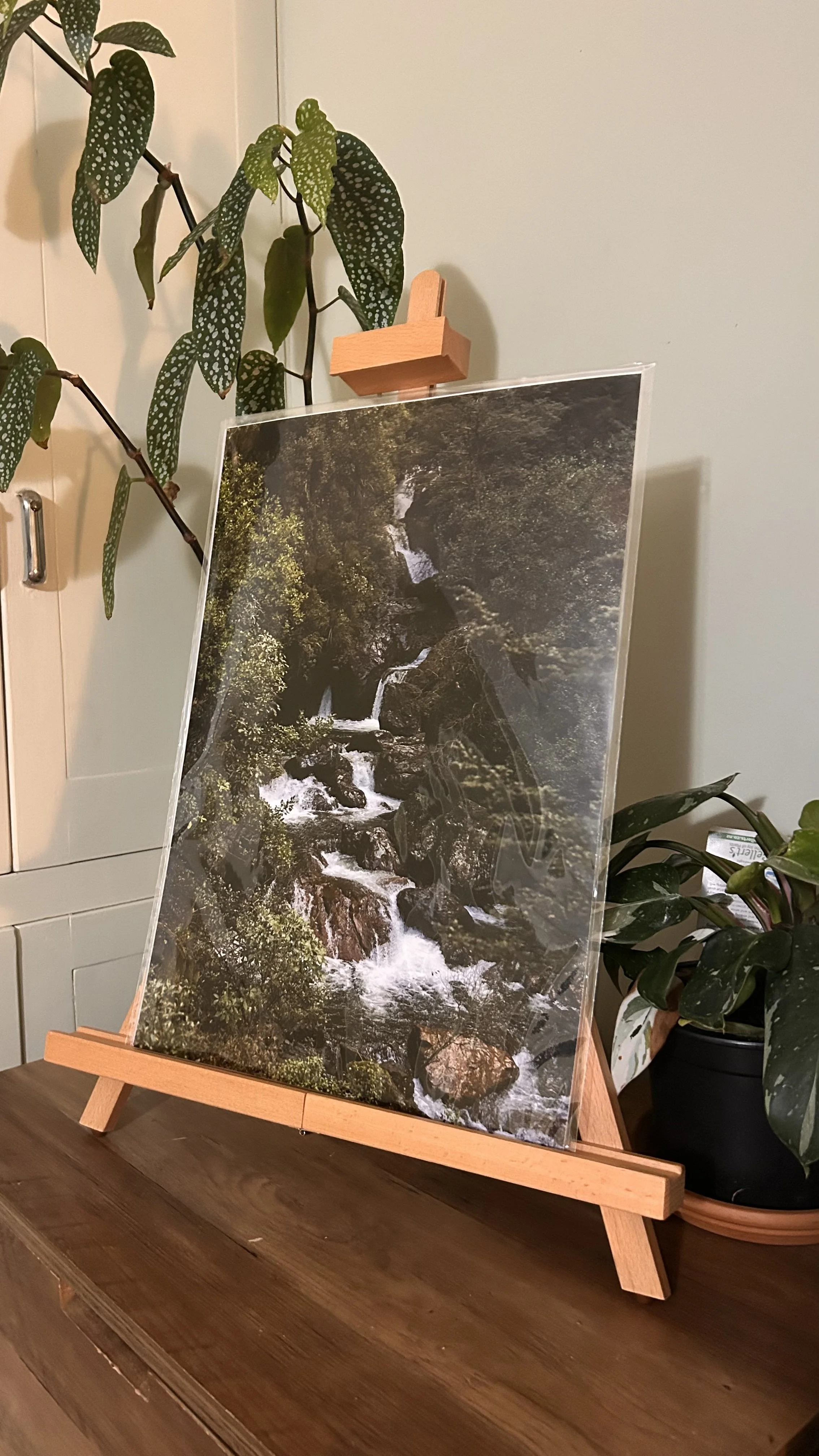 Sharplin Falls - A3 Print