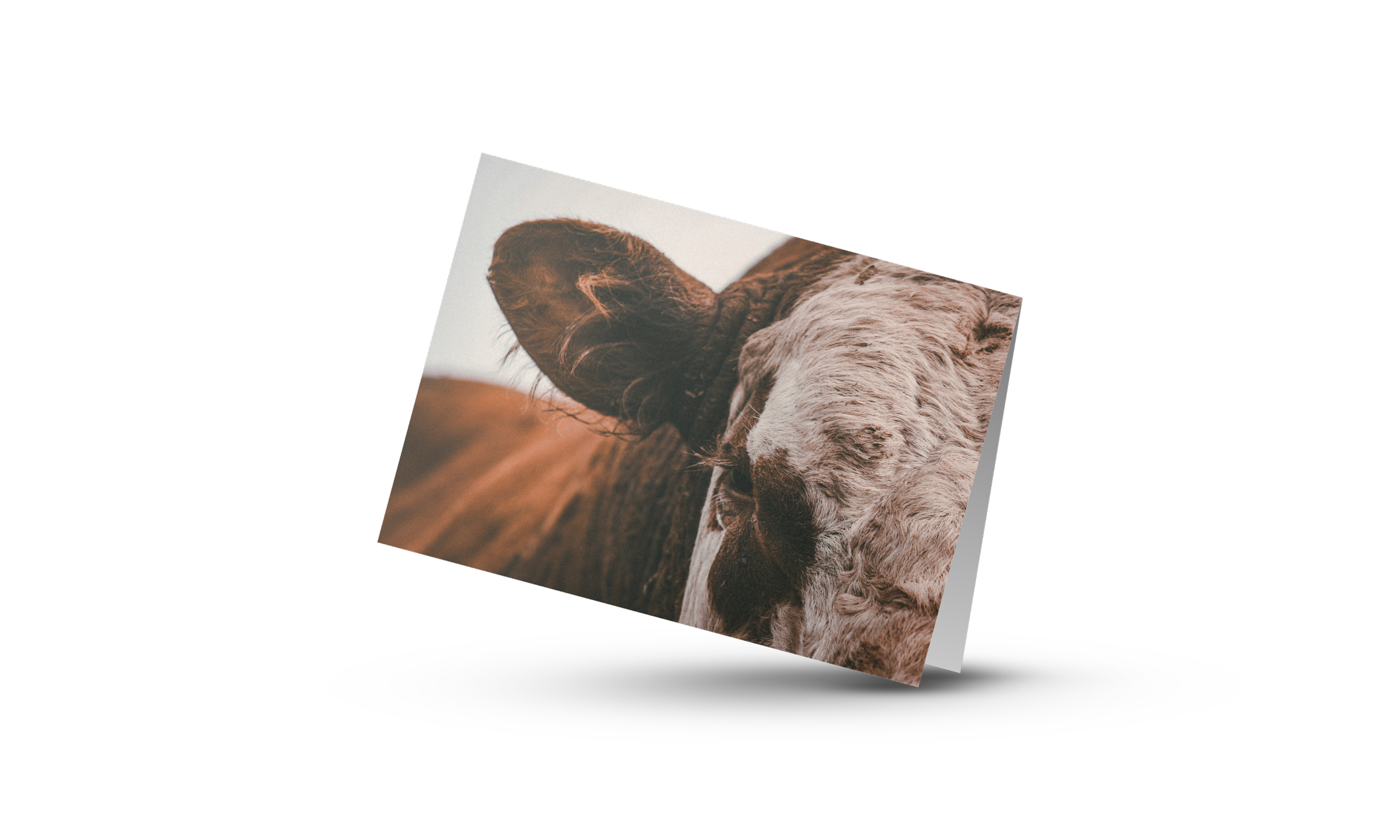 Patch - Card