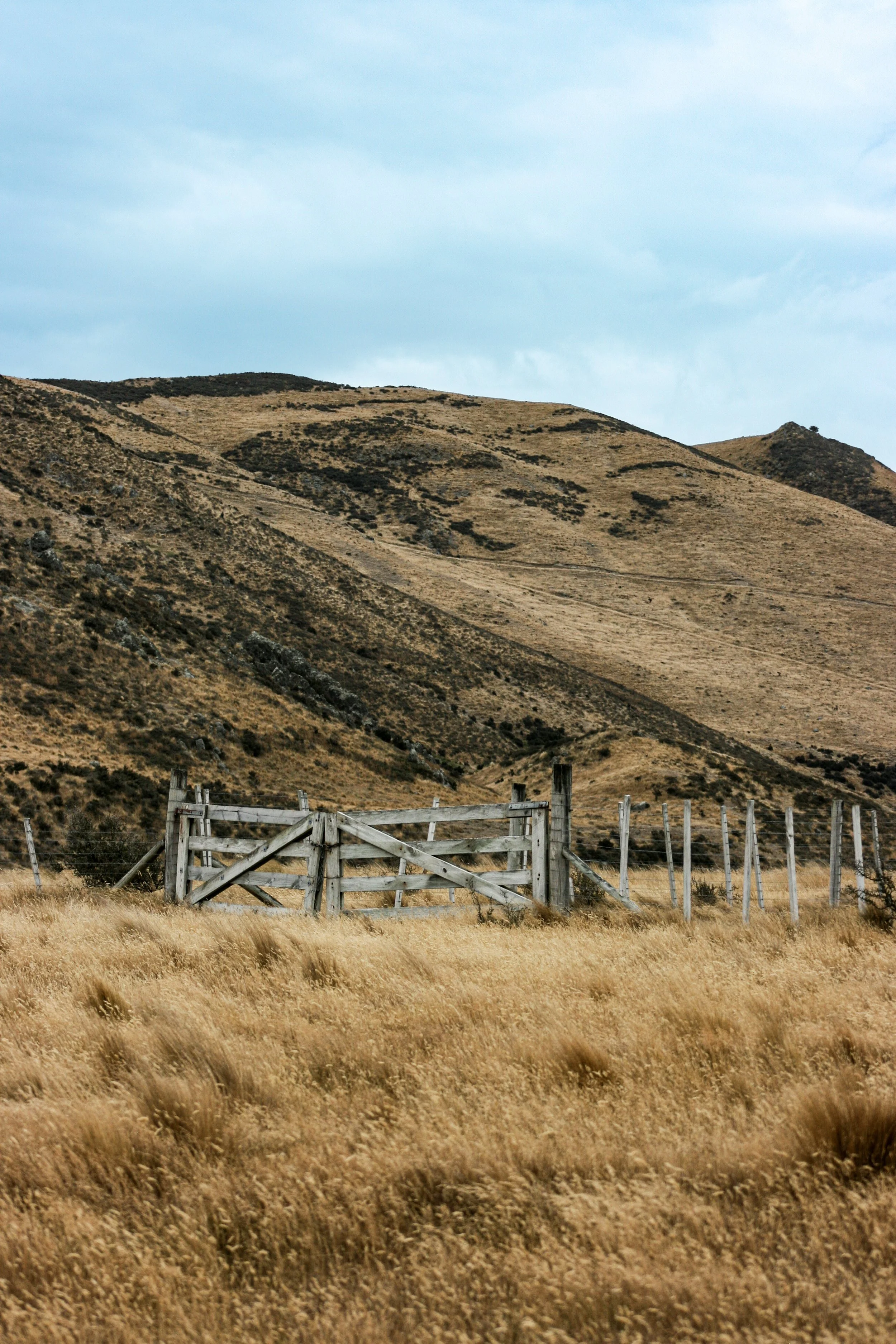 The Gates of A Station.jpg