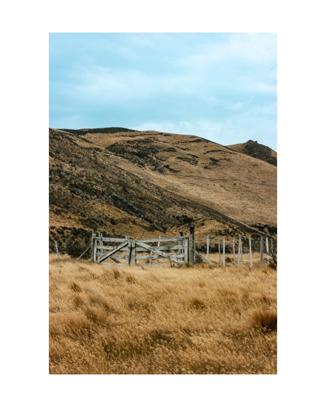 The Gates of A Station - Unframed Print