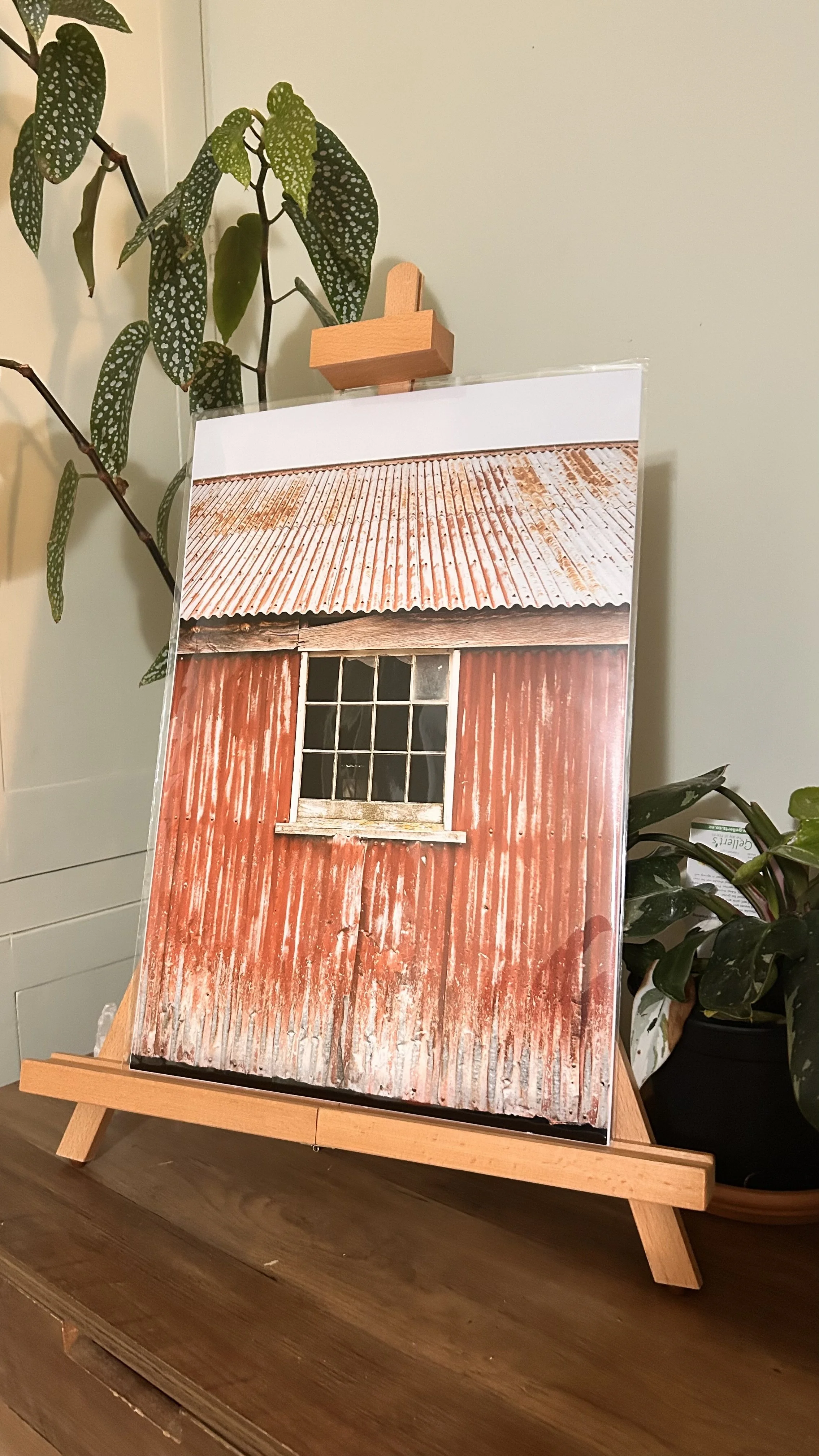 The Red Shed - A3 Print