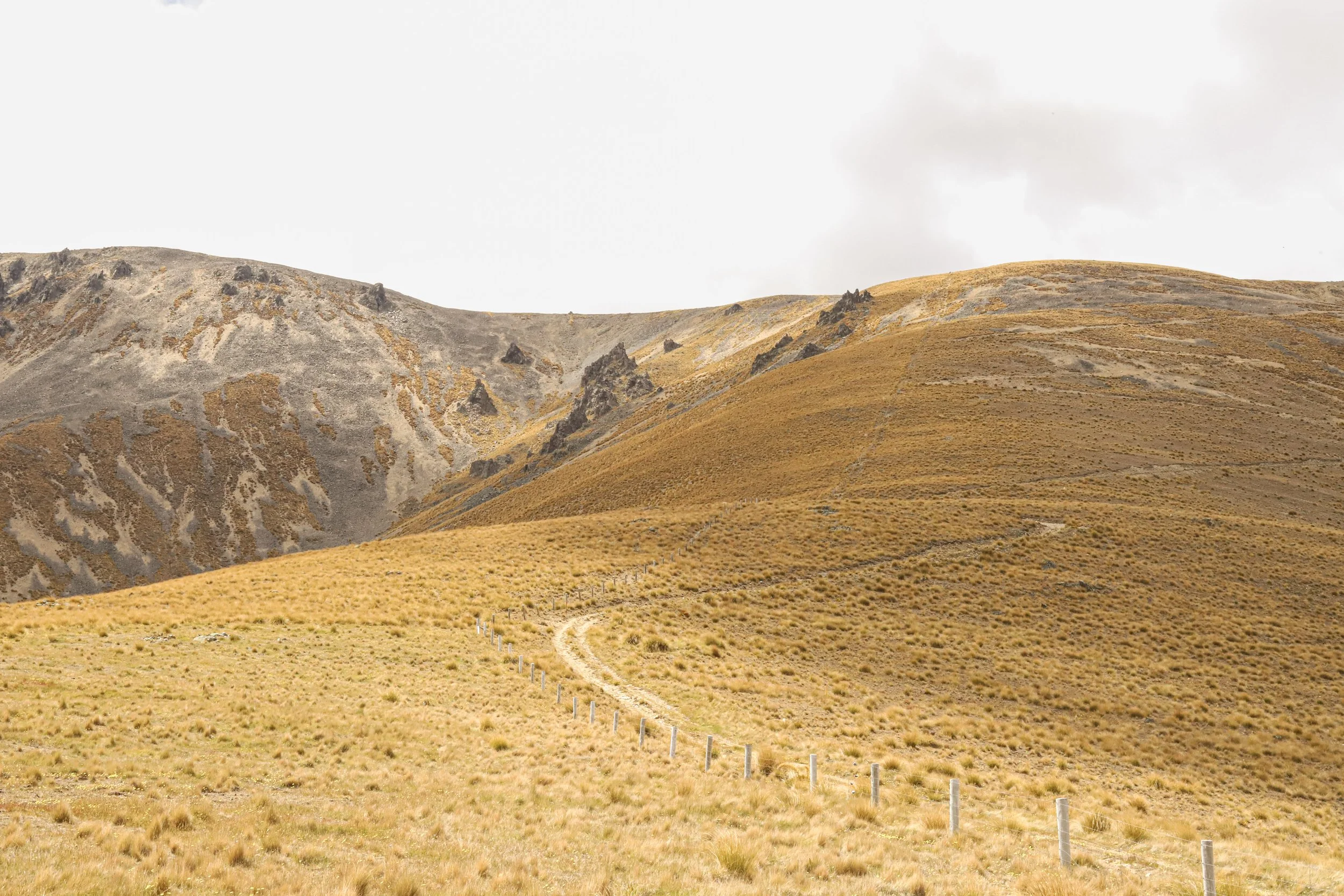 Golden Landscapes of Omarama Saddle.jpg