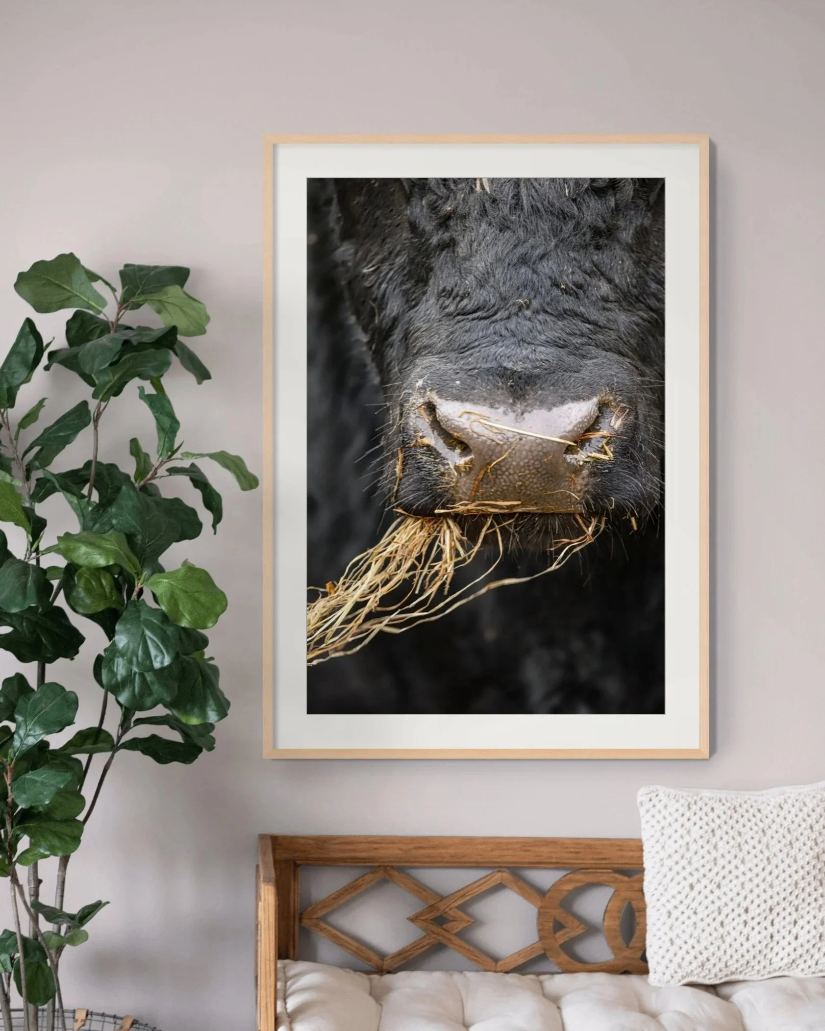 munching-on-hay-full.jpg
