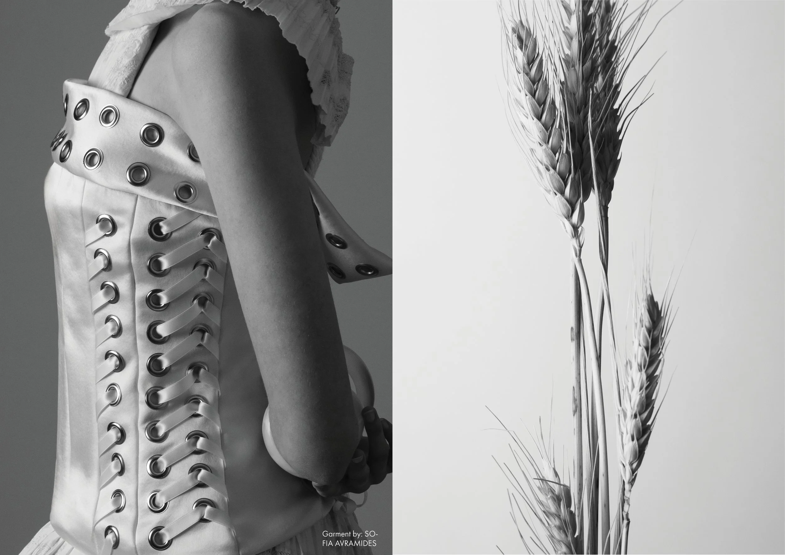 Black and white image split into two sections: the left shows a person wearing a metallic and fabric garment with eyelet and lacing details, and the right features close-up of wheat stalks.