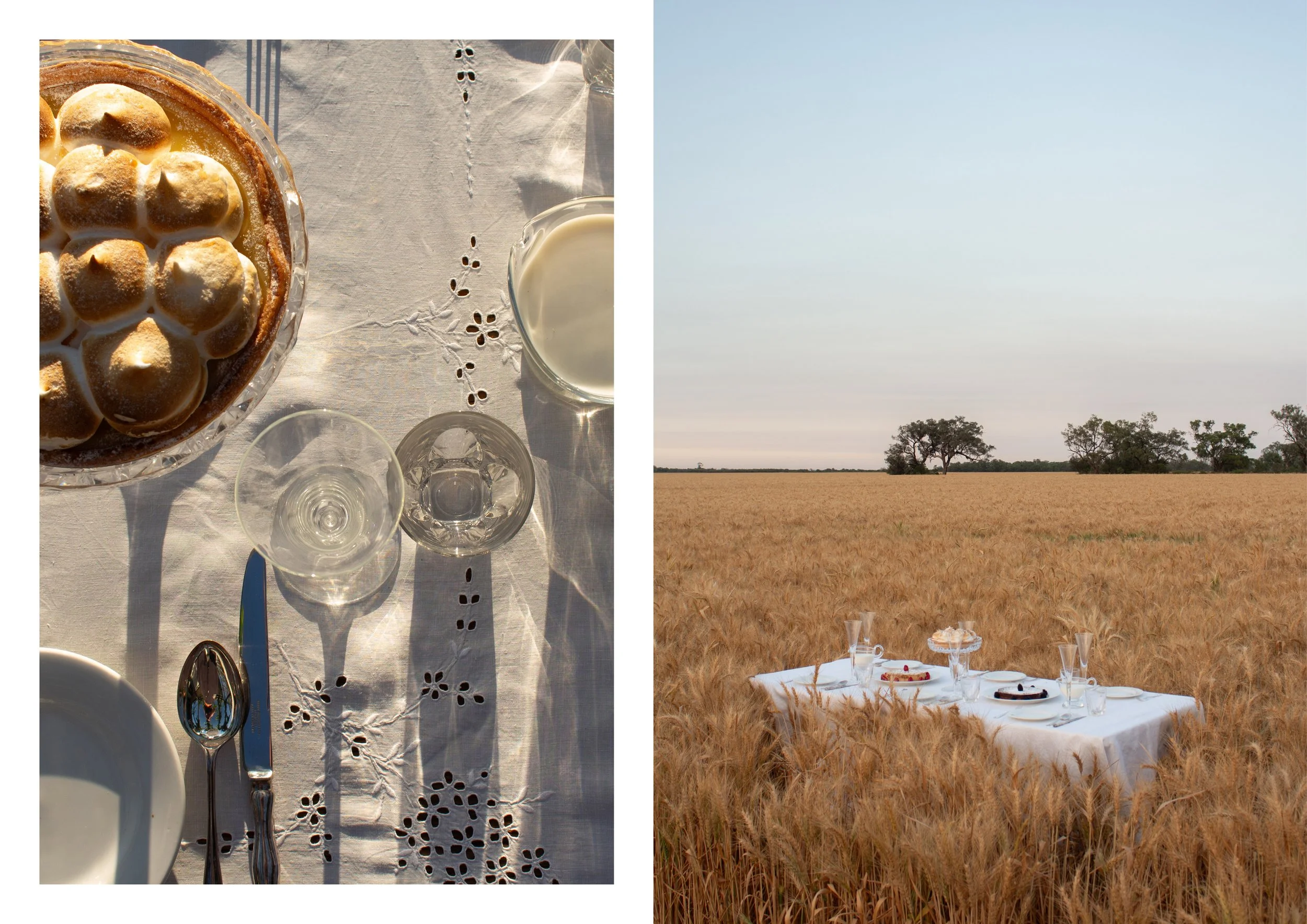 A picnic table set with plates, glasses, and desserts in a wheat field, with a clear sky and a few trees in the background.