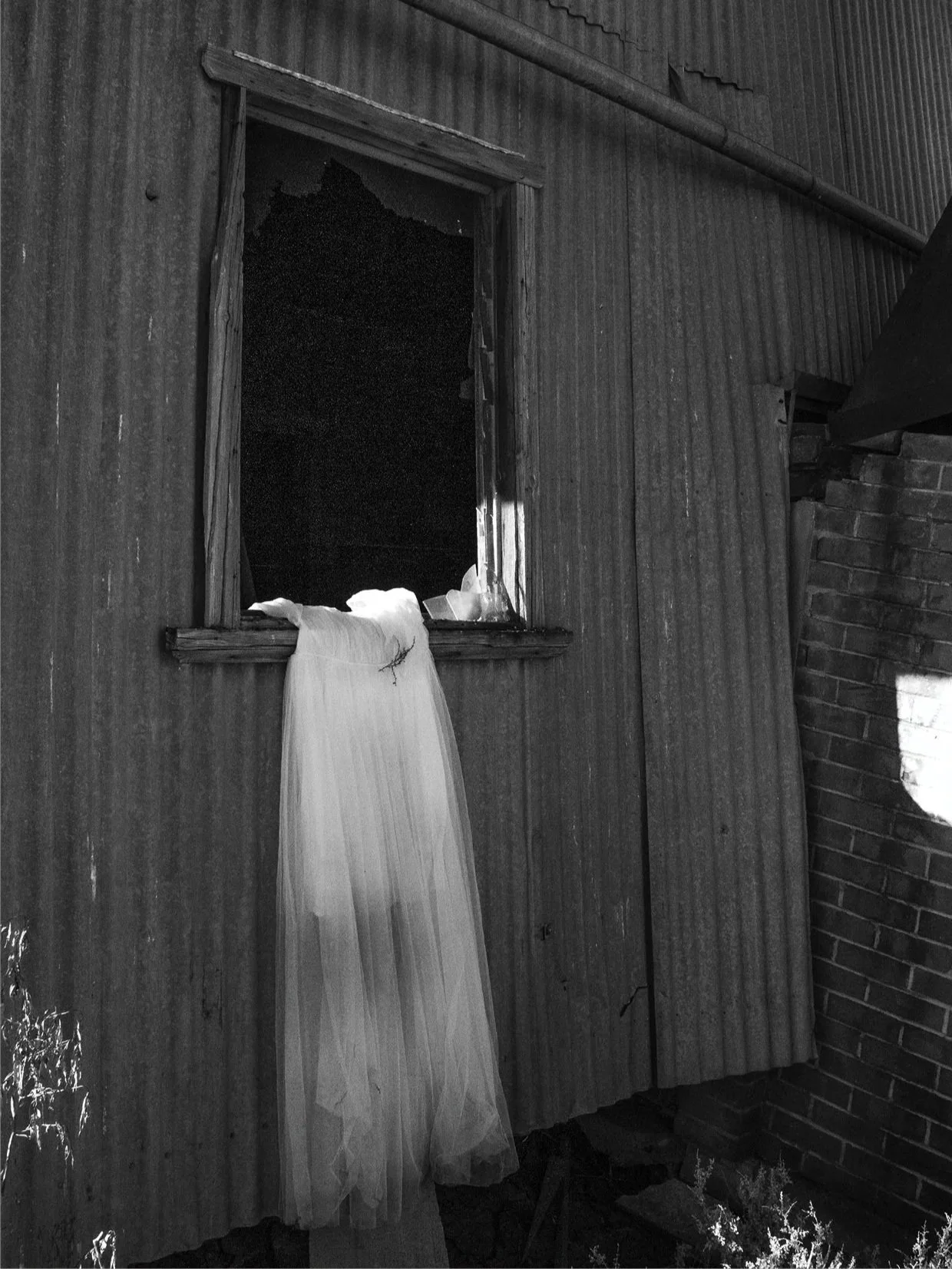A corrugated metal wall with a window frame missing glass, with a Tulle fabric hanging out of the window.