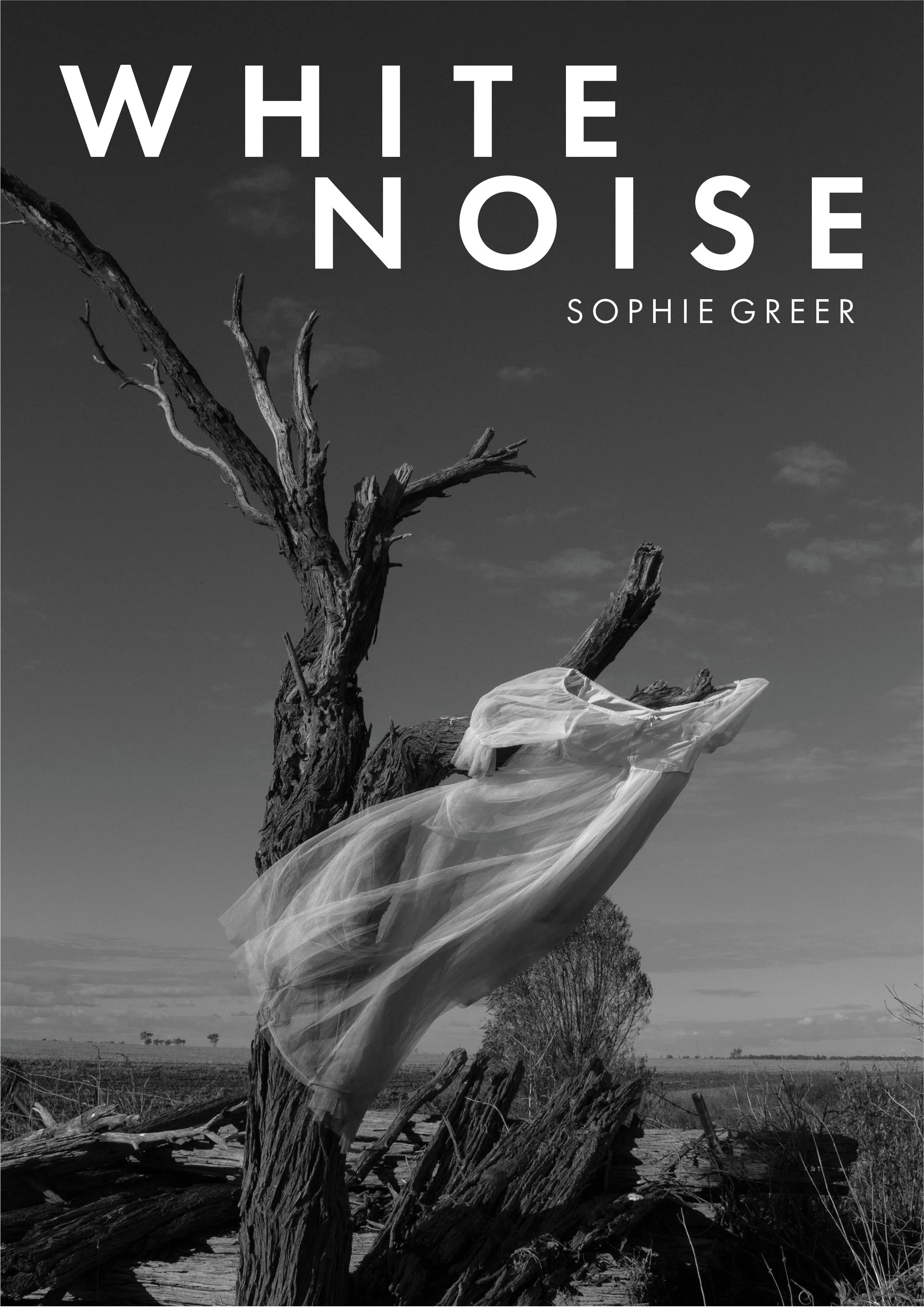 Black and white photo of a barren tree with a sheer, flowing fabric draped over one of its branches, set against a cloudy sky and open landscape.