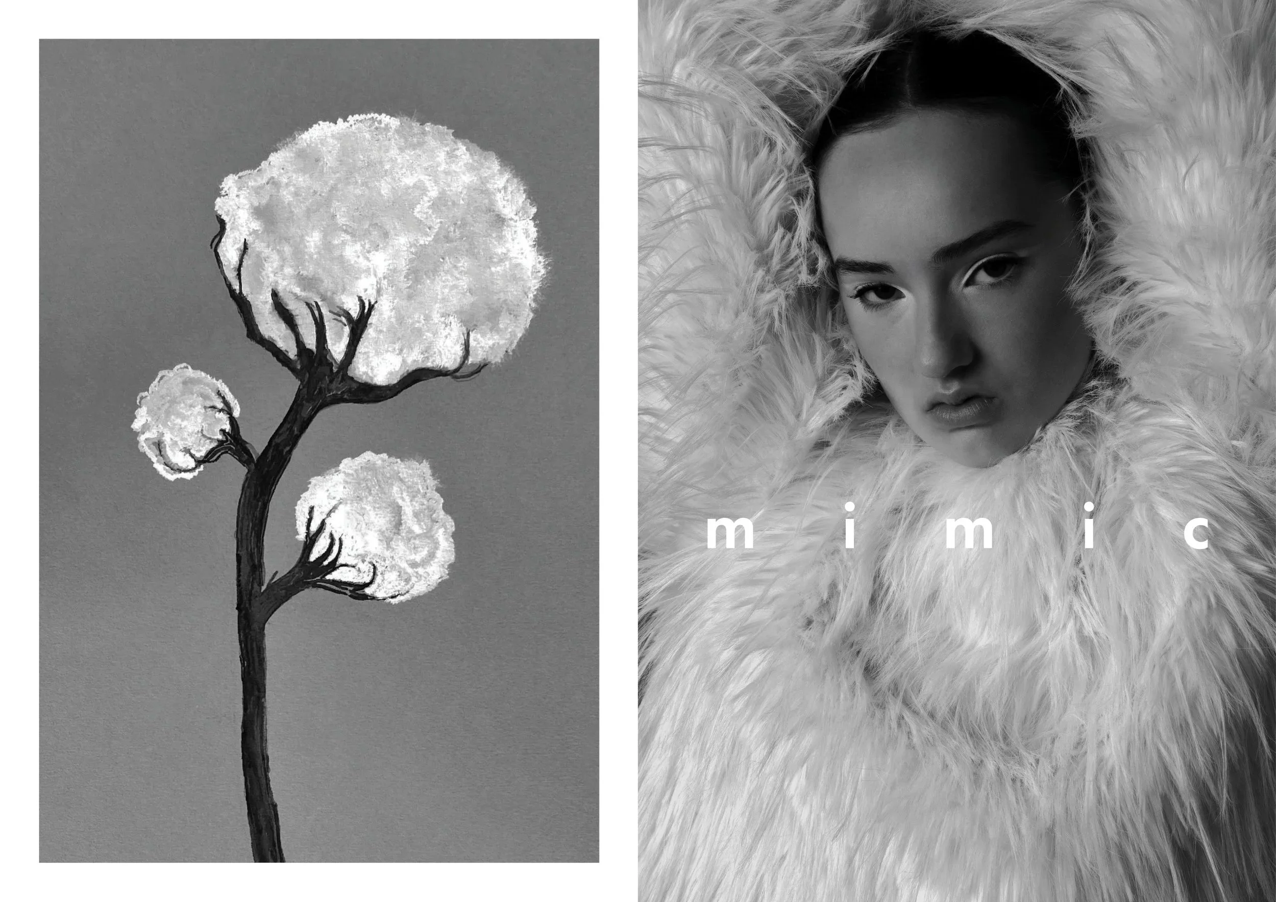 A black and white photo showing a drawing of a tree with three fluffy, cloud-like canopies on the left and a portrait of a woman with minimal makeup and dark hair on the right, surrounded by fluffy fur with the word 'mimic' overlaid.