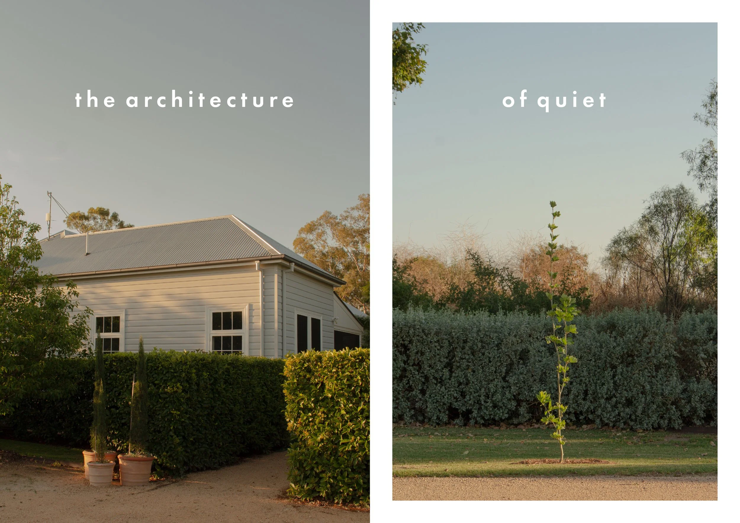 A split image with the left side showing a white house with a sloped metal roof and multiple windows, surrounded by lush green bushes and potted plants, under a clear sky. The right side shows a thin, tall plant in front of a dense bush hedge and tre