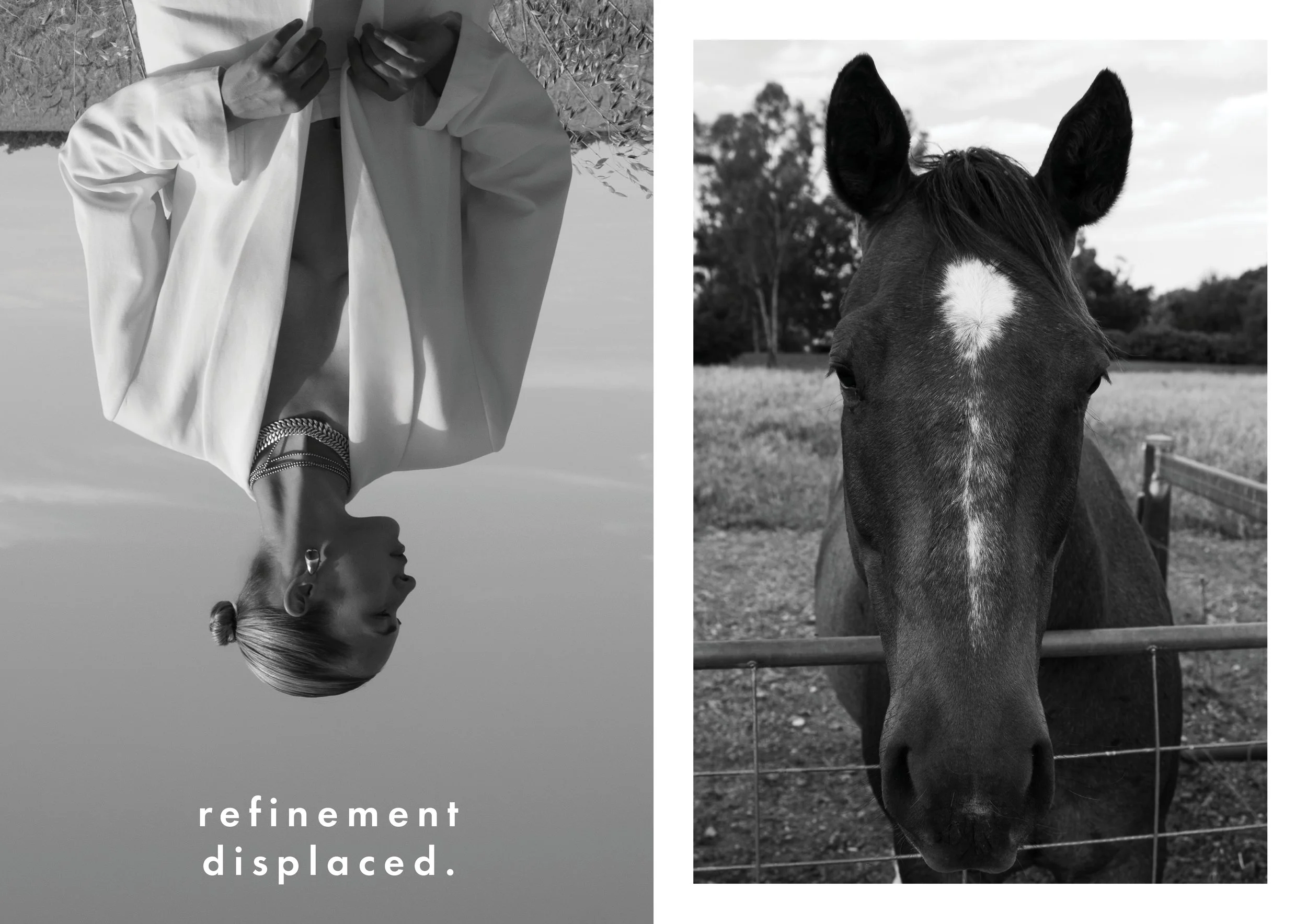 A side profile of a woman with her hair in a bun, wearing a blazer and jewelry, looking downward with her hands near her face, with the words 'refinement displaced.' at the bottom; next to a close-up of a horse with a white spot on its forehead, behi