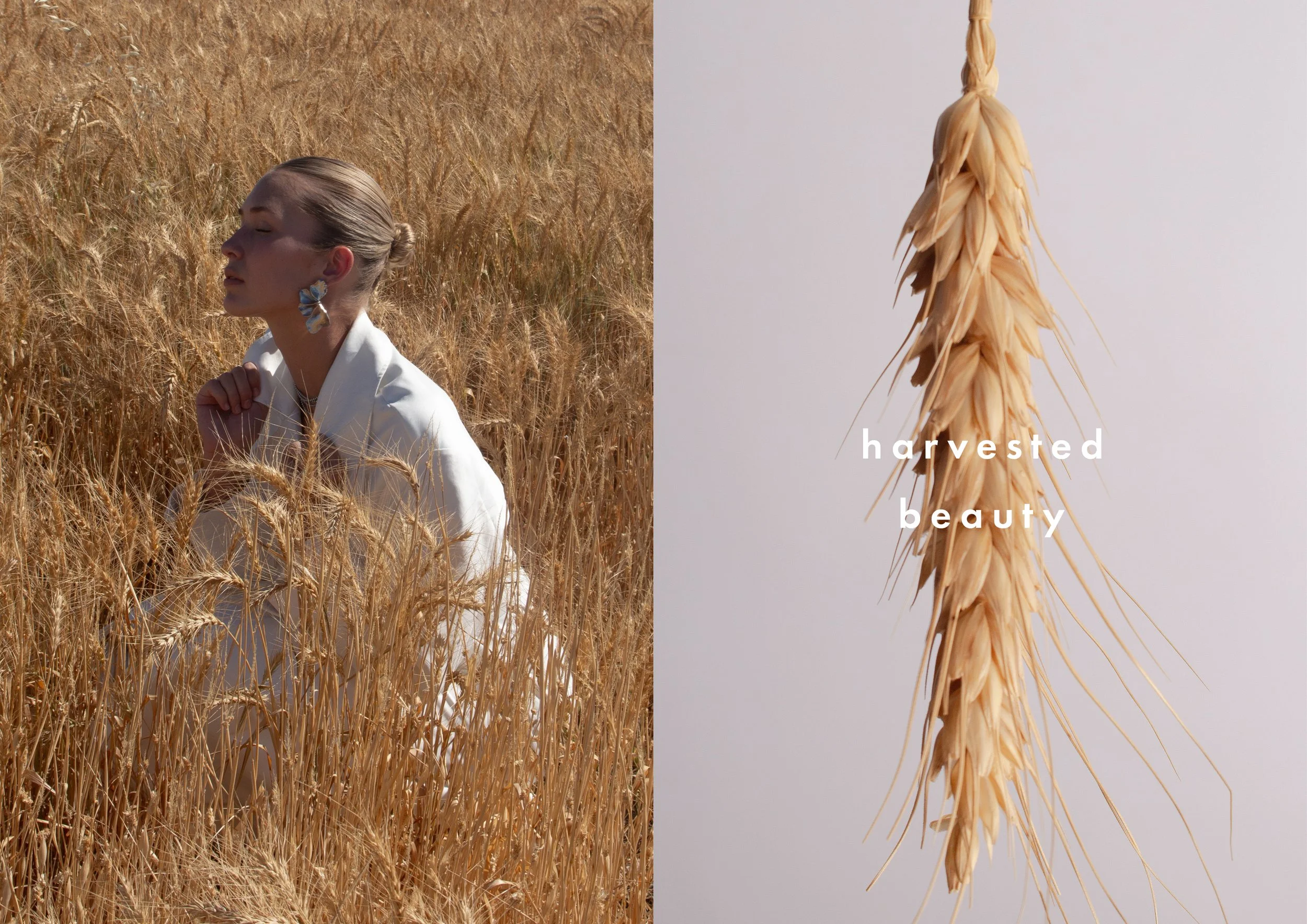 A woman in white sitting in a field of tall, golden wheat, with her eyes closed and hands clasped near her face, contrasted with a close-up of a hanging bundle of wheat stalks against a plain background with the words "harvested beauty".