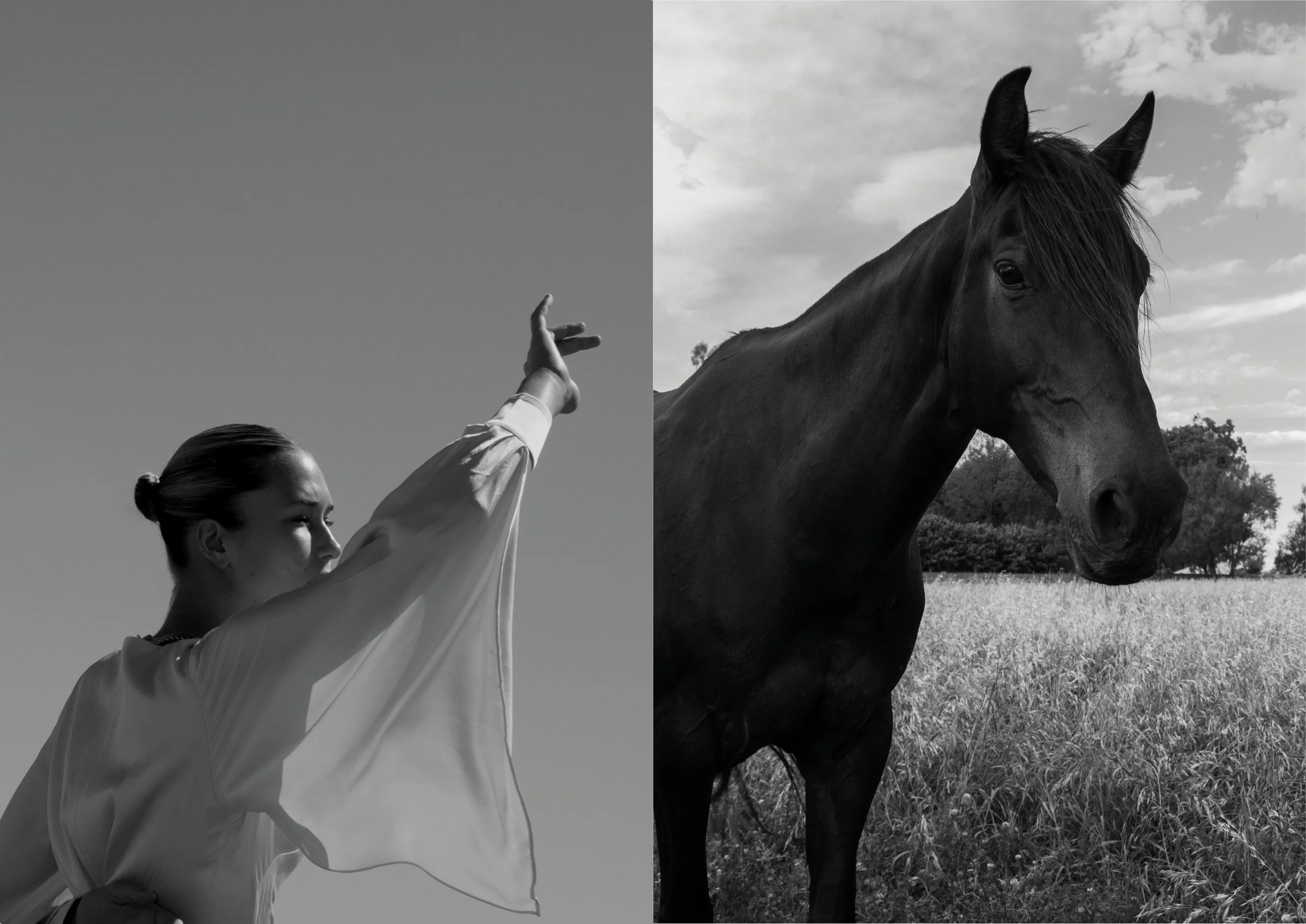 Half of the image shows a woman performing a dance move, and the other half shows a horse standing in a field, both in black and white.