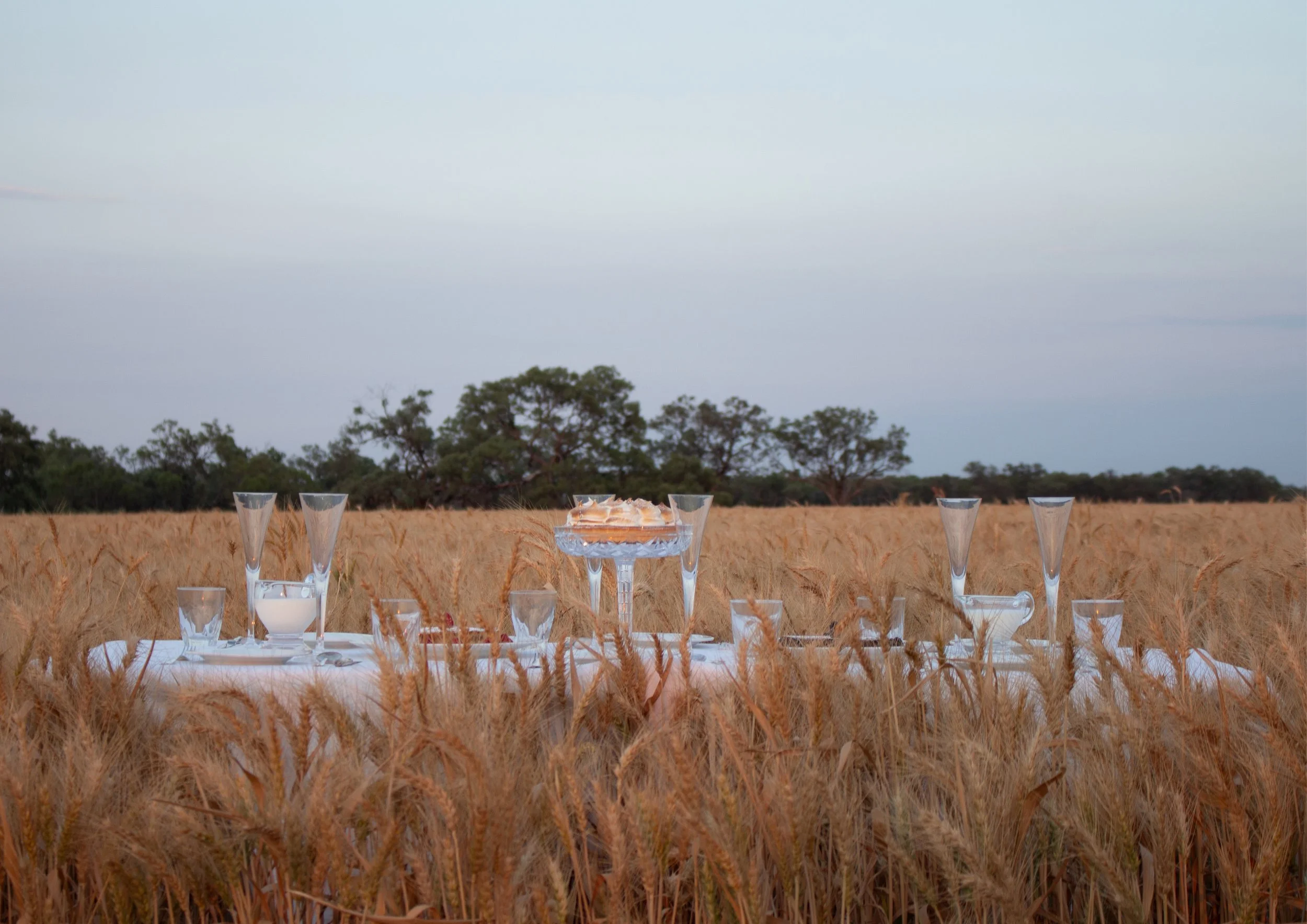 A white table with glassware and a cake, set in a wheat field at sunset.