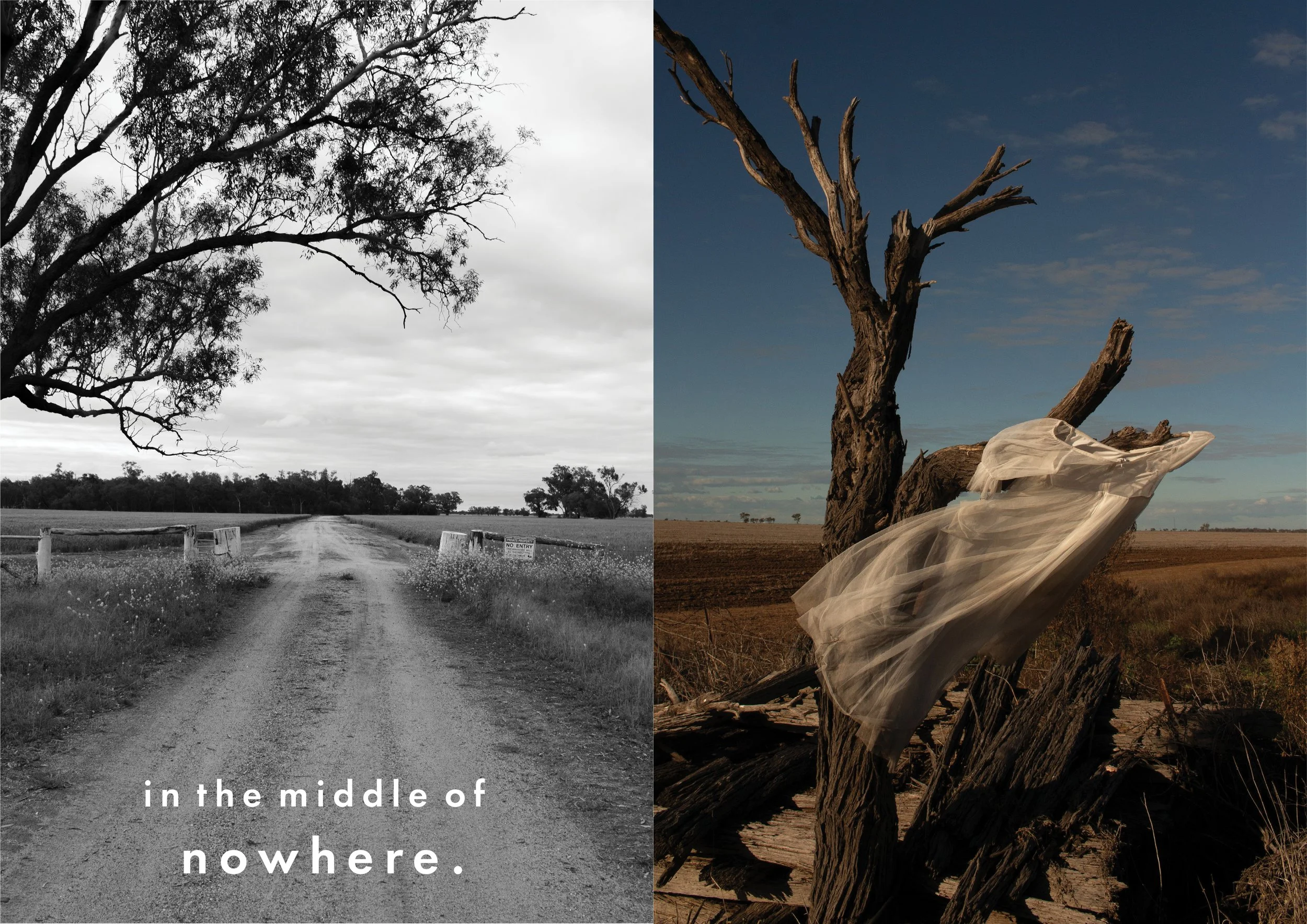 A split image with a black and white photo on the left showing a dirt road through a field with trees and cloudy sky, and a color photo on the right of a dead tree with a flowing white fabric tied to it, set in a desert landscape. The left side conta