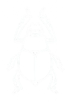 Line drawing of a beetle with its antennae raised.