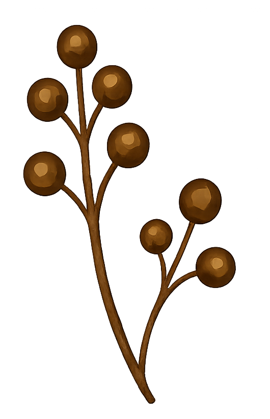 An illustration of a branch with multiple round, brown berries or seed pods attached. Documenting living archives through digital mediums.
