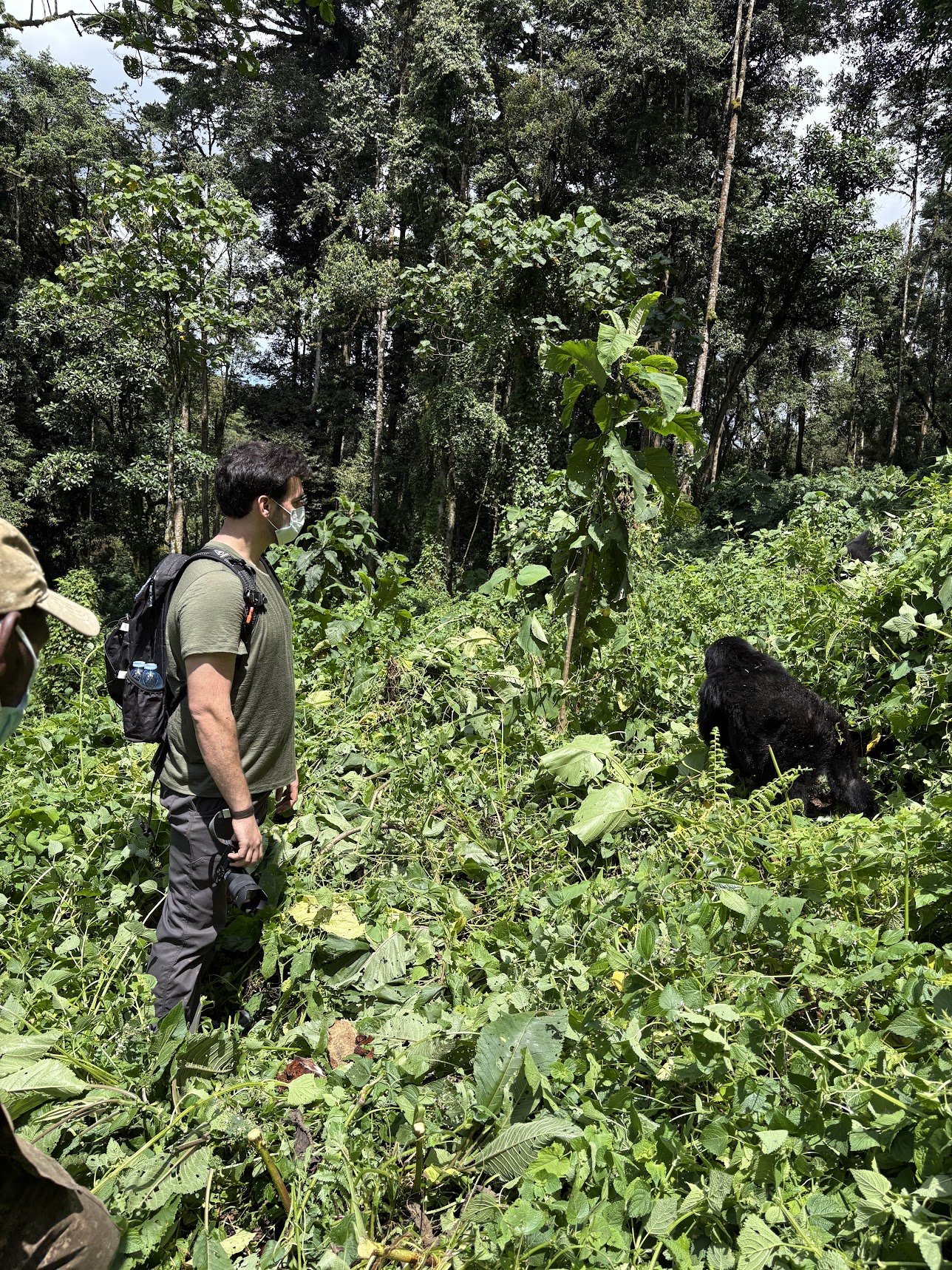 Gorilla Trekking Packing List and Fitness Guide: What to Bring and How Hard It Really Is