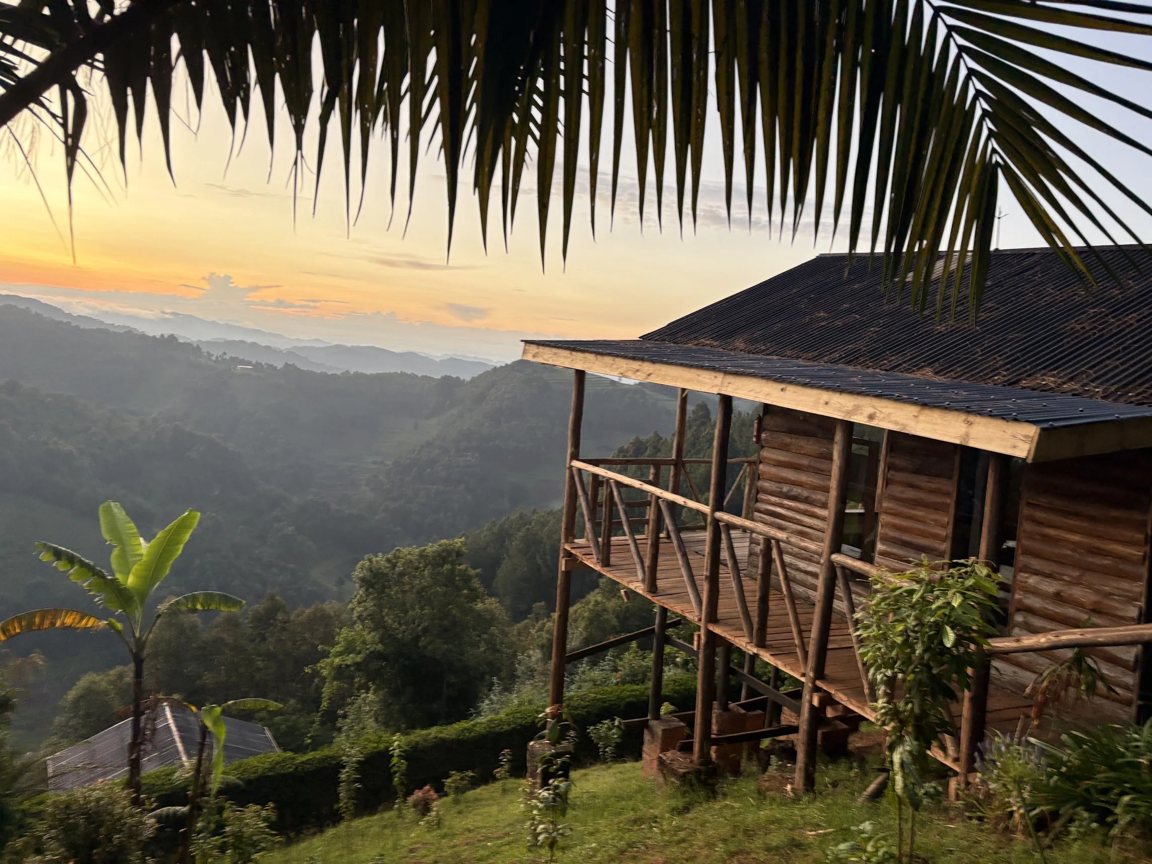 A mountain scene at sunset with a wooden house on stilts in the foreground and layered mountains in the background, partially covered by palm leaves. This is a place to stay on a real African Safari in Uganda.