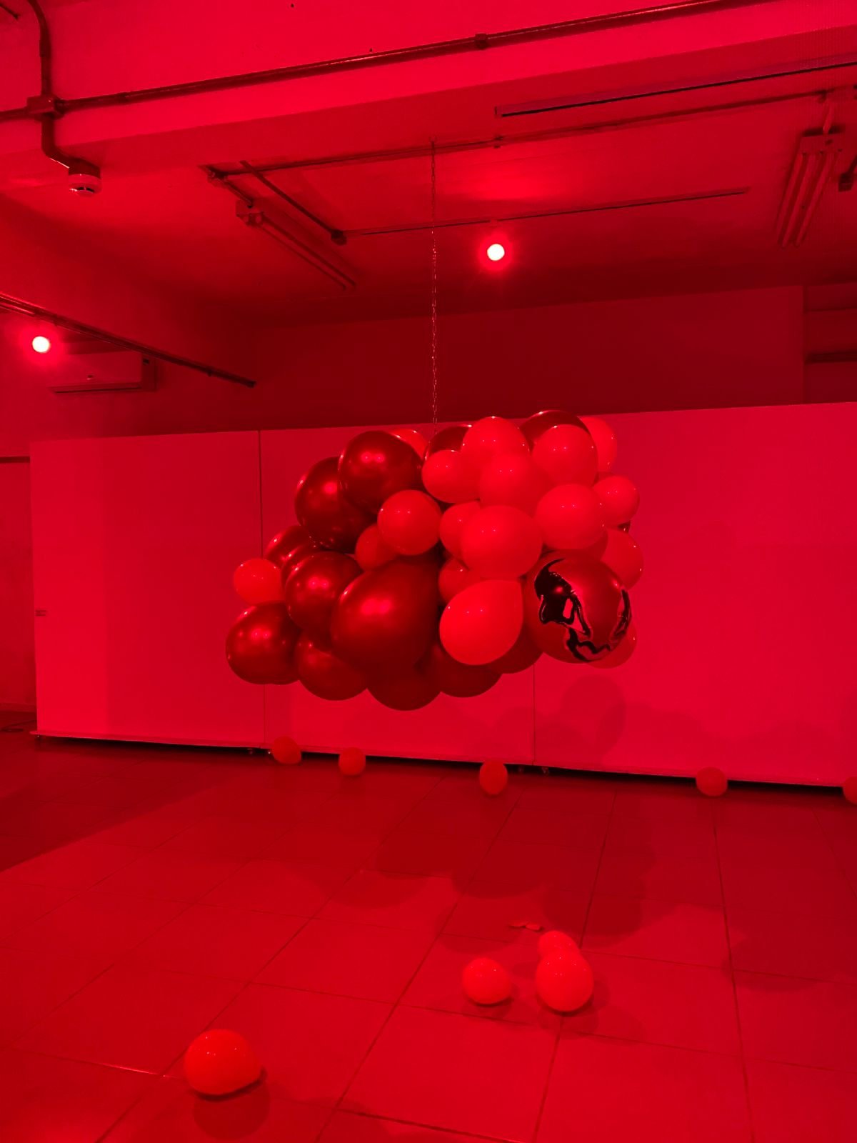 Imagem do WhatsApp de 2025-10-14 à(s) 12.36.06_ca1f2cb1.jpg