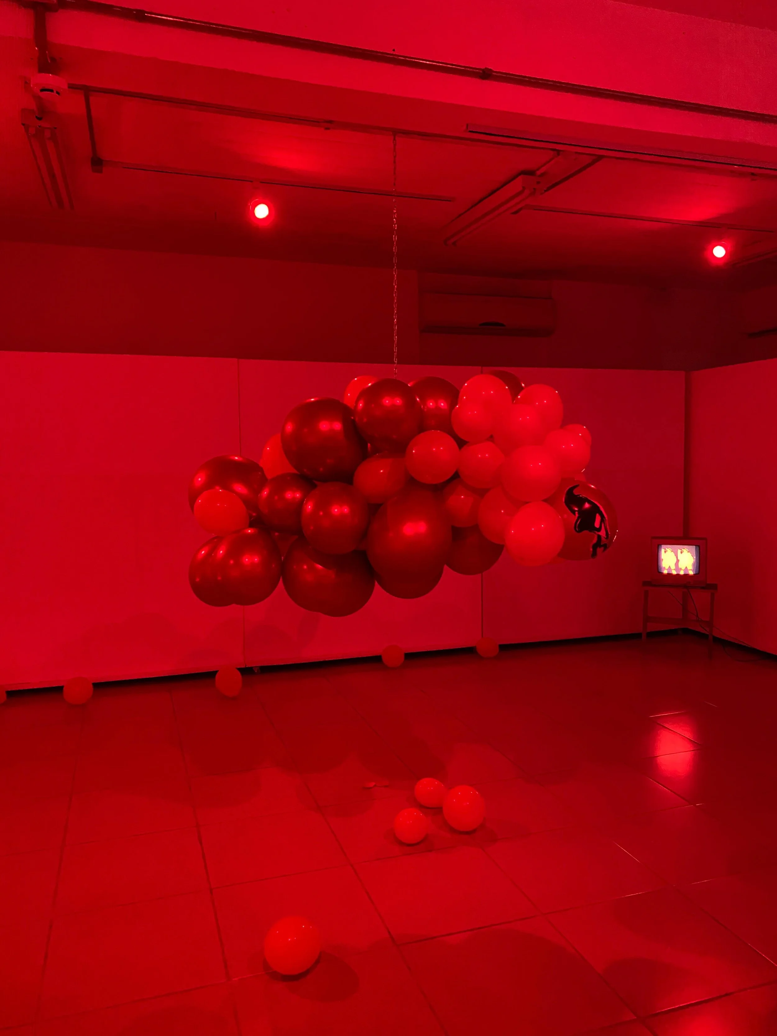 Imagem do WhatsApp de 2025-11-24 à(s) 23.13.36_d3540f6b.jpg