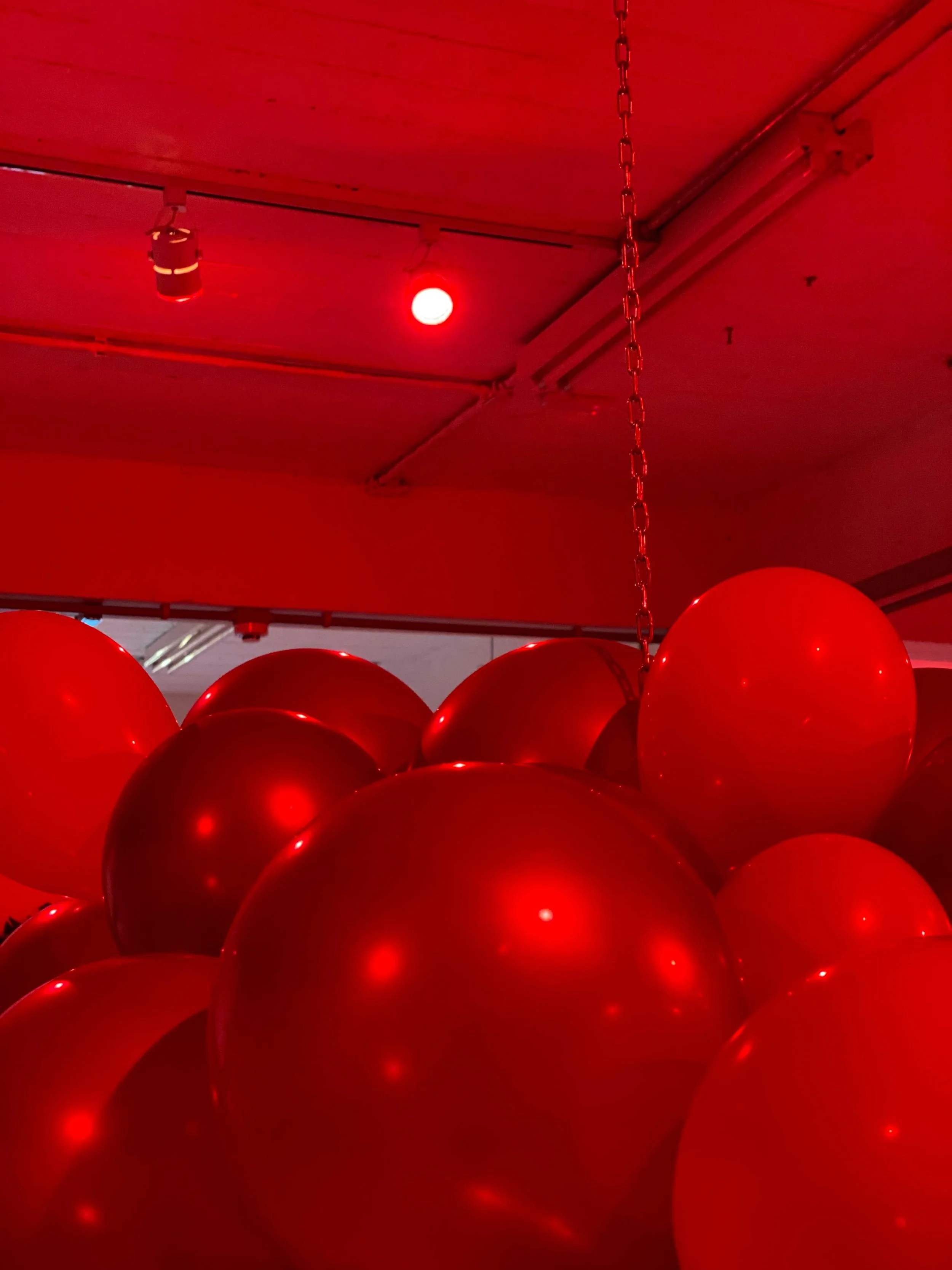 Rebordosa
Plano detalhe