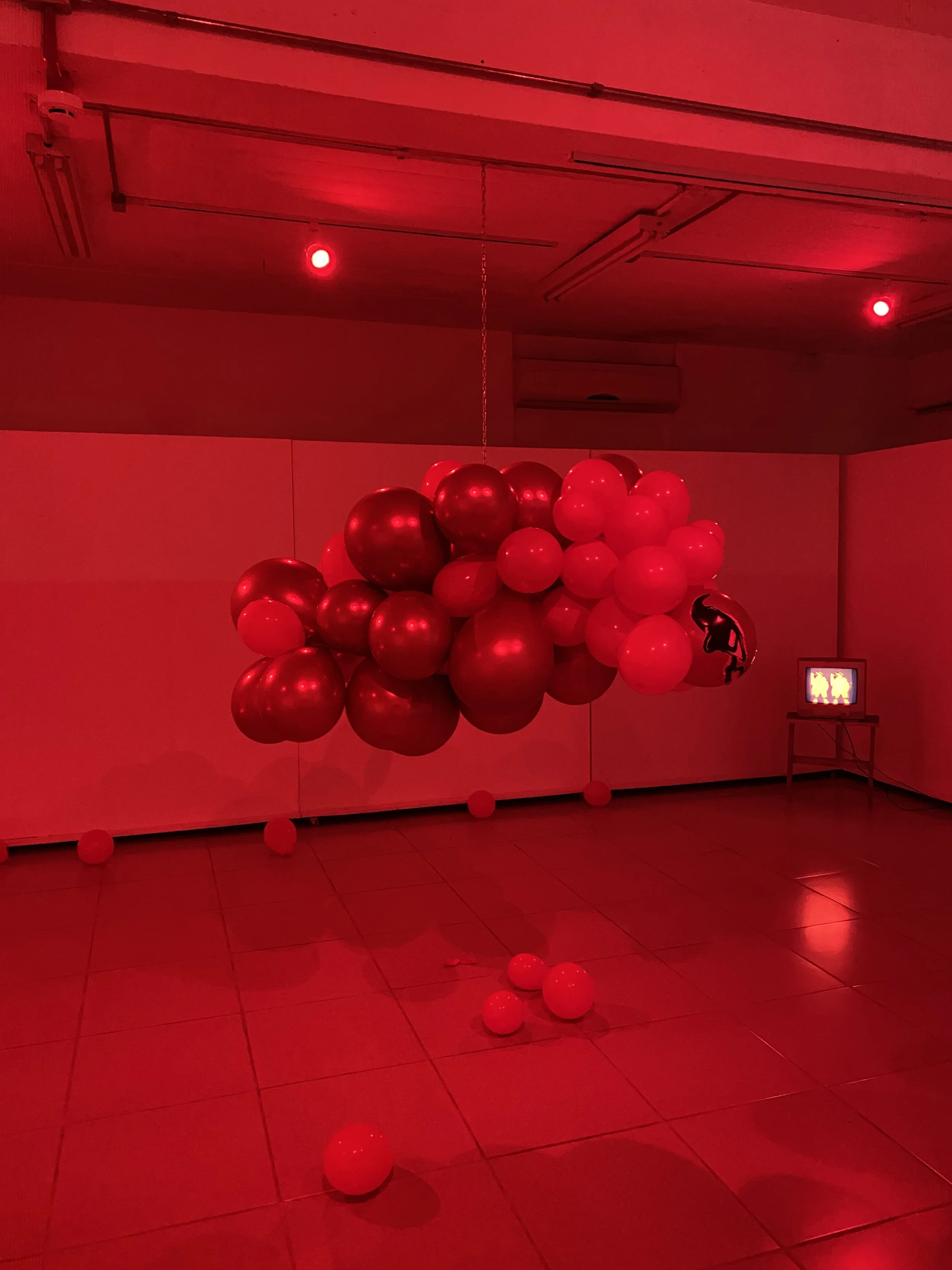 Rebordosa
Instalação, 2025