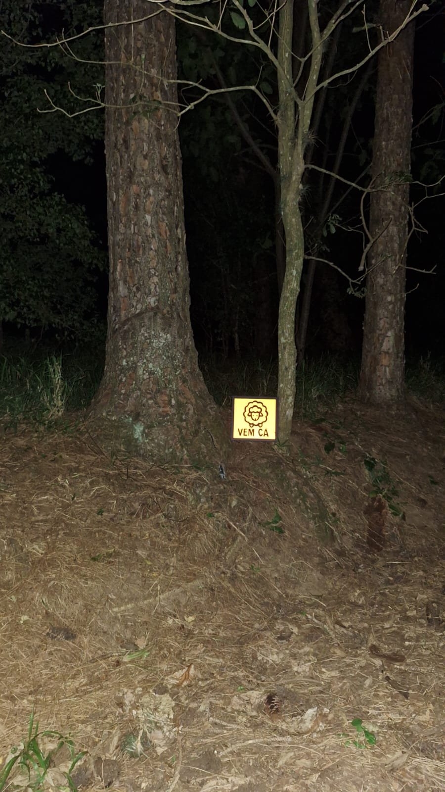 WhatsApp Image 2025-11-20 at 11.50.124322.jpeg