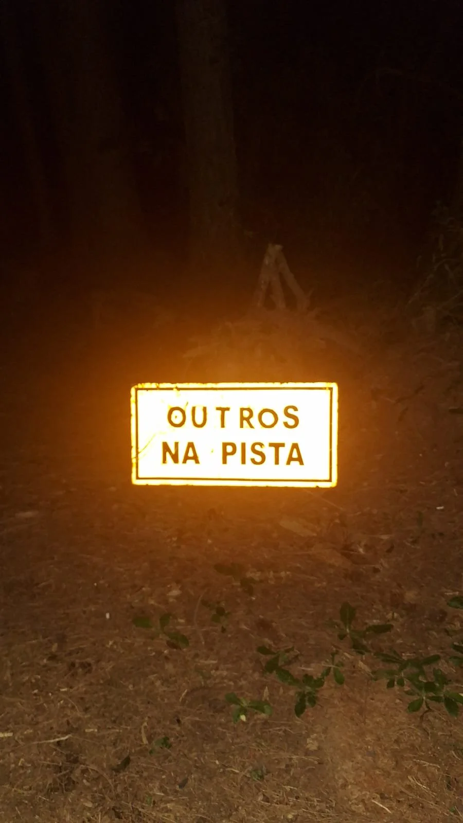 WhatsApp Image 2025-11-20 at 11.50.1332323.jpeg