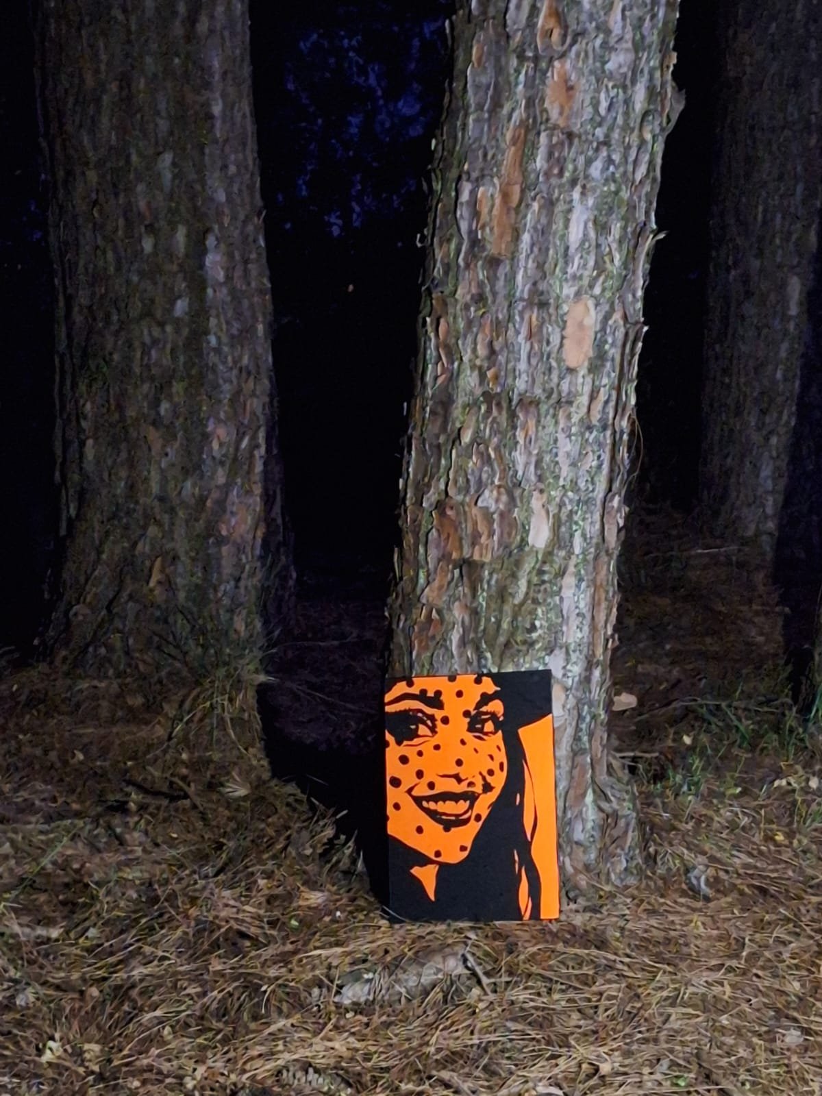 WhatsApp Image 2025-11-20 at 11.50.04.jpeg