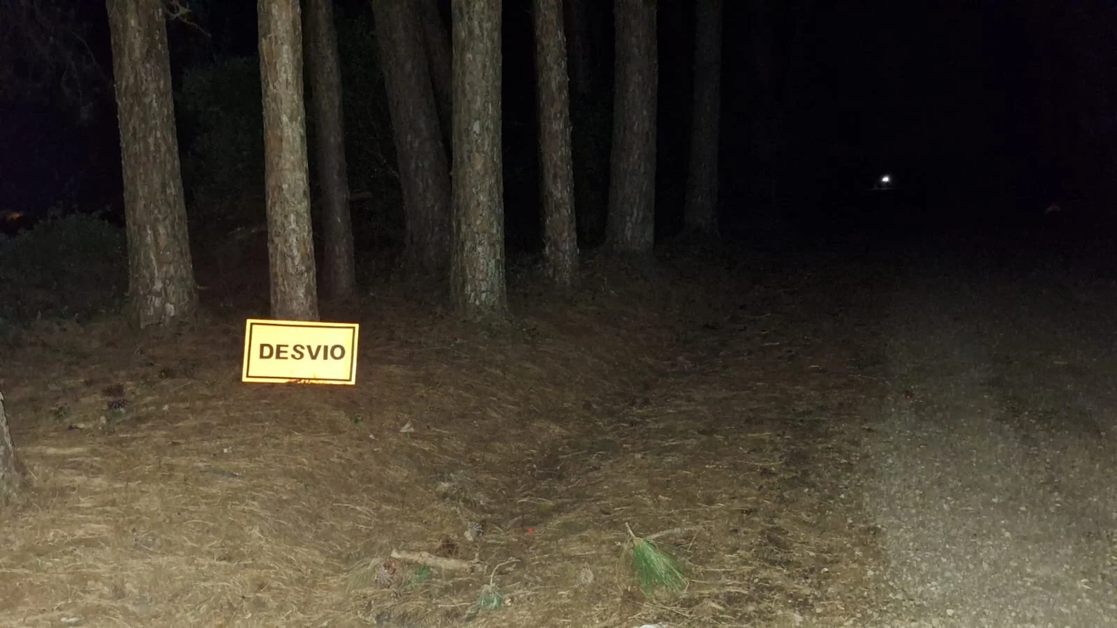 WhatsApp Image 2025-11-20 at 11.50.053.jpeg