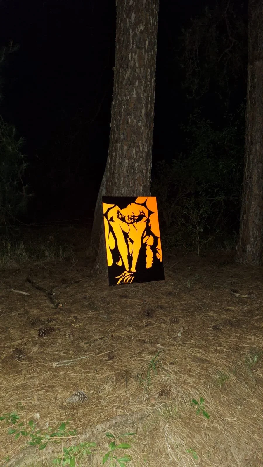 WhatsApp Image 2025-11-20 at 11.50.0677.jpeg