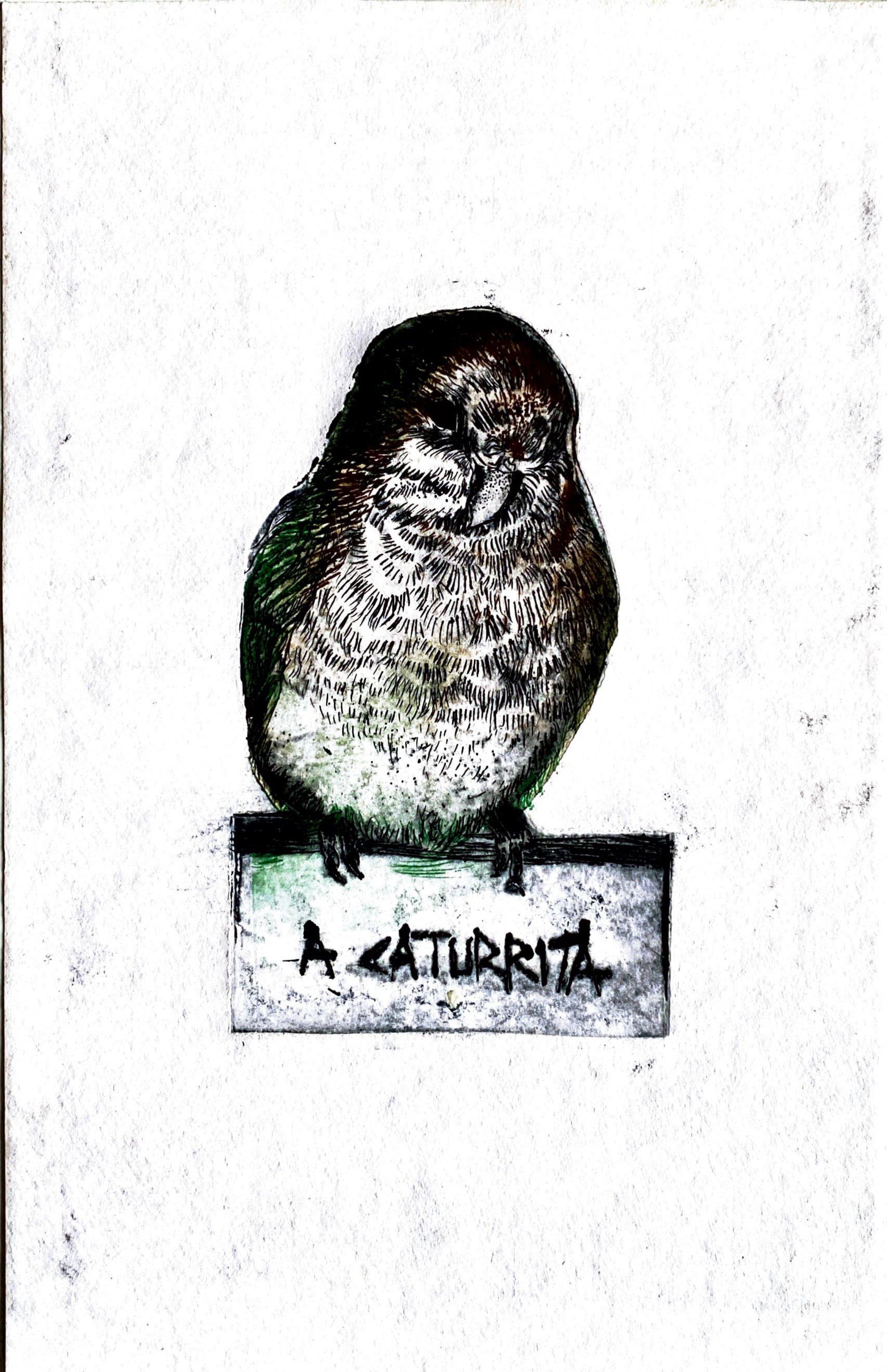 Adobe Scan 7 de abr. de 2026 (4)_page-0002.jpg