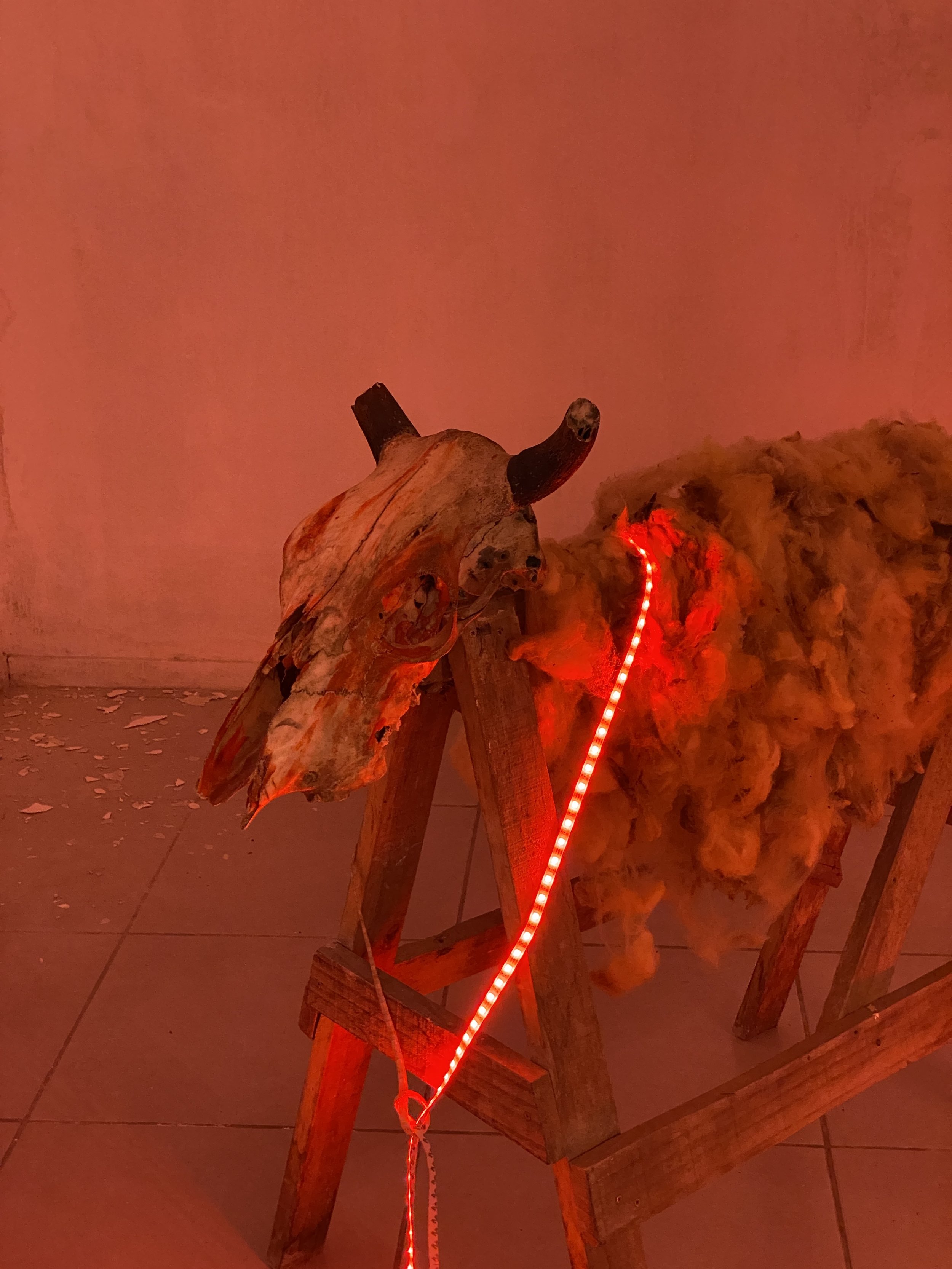 Laço Frouxo
Instalação, 2024
Plano detalhe