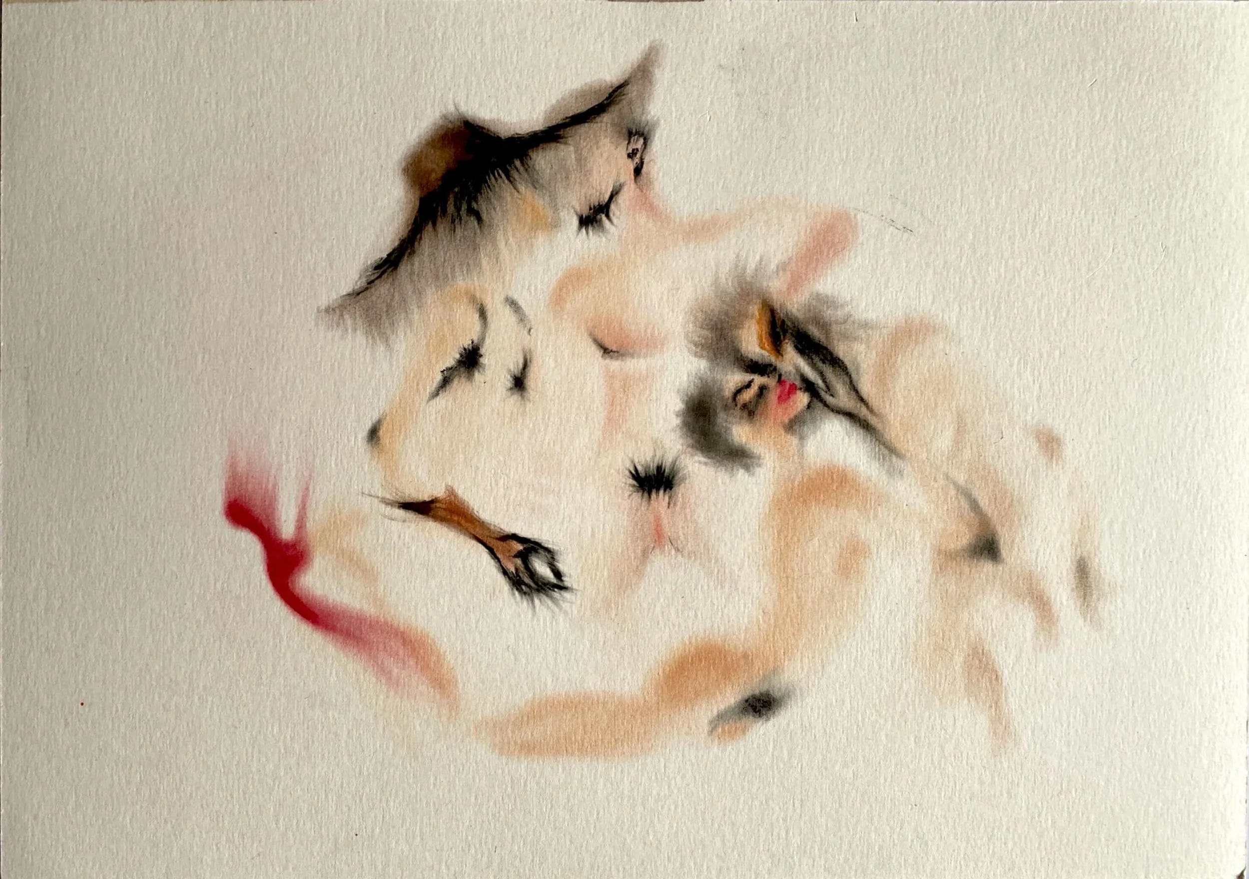 série Tapera Neon, 2024
maquiagem esfumada