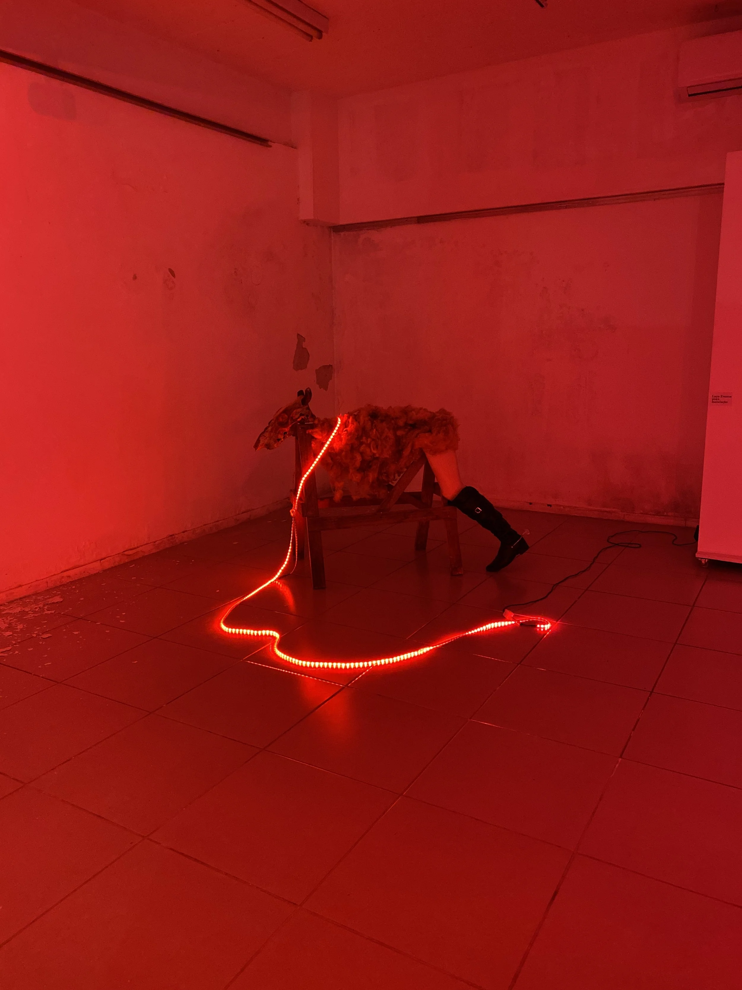 Laço Frouxo
Instalação, 2025