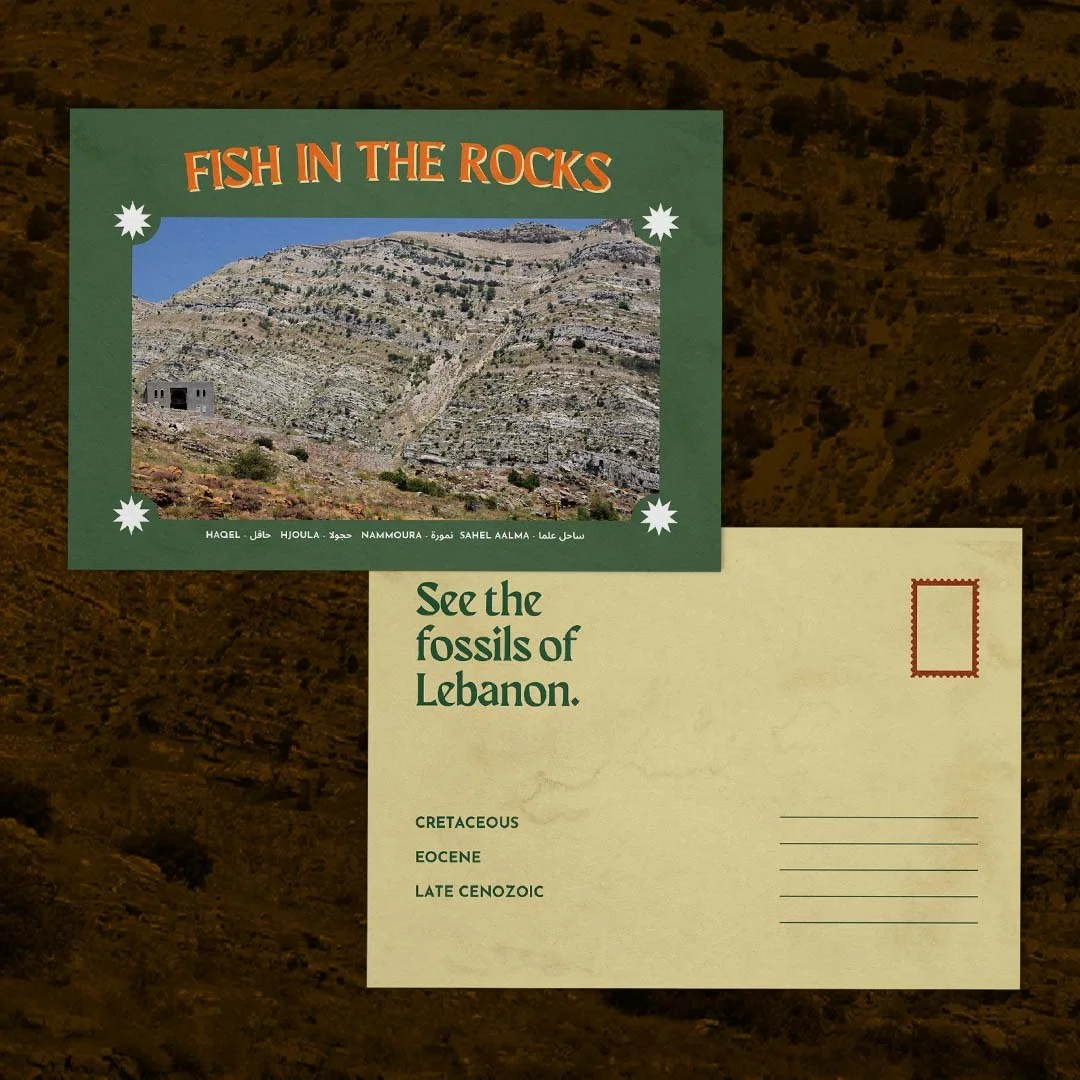 Fish in the Rocks Postcard (4x6″)