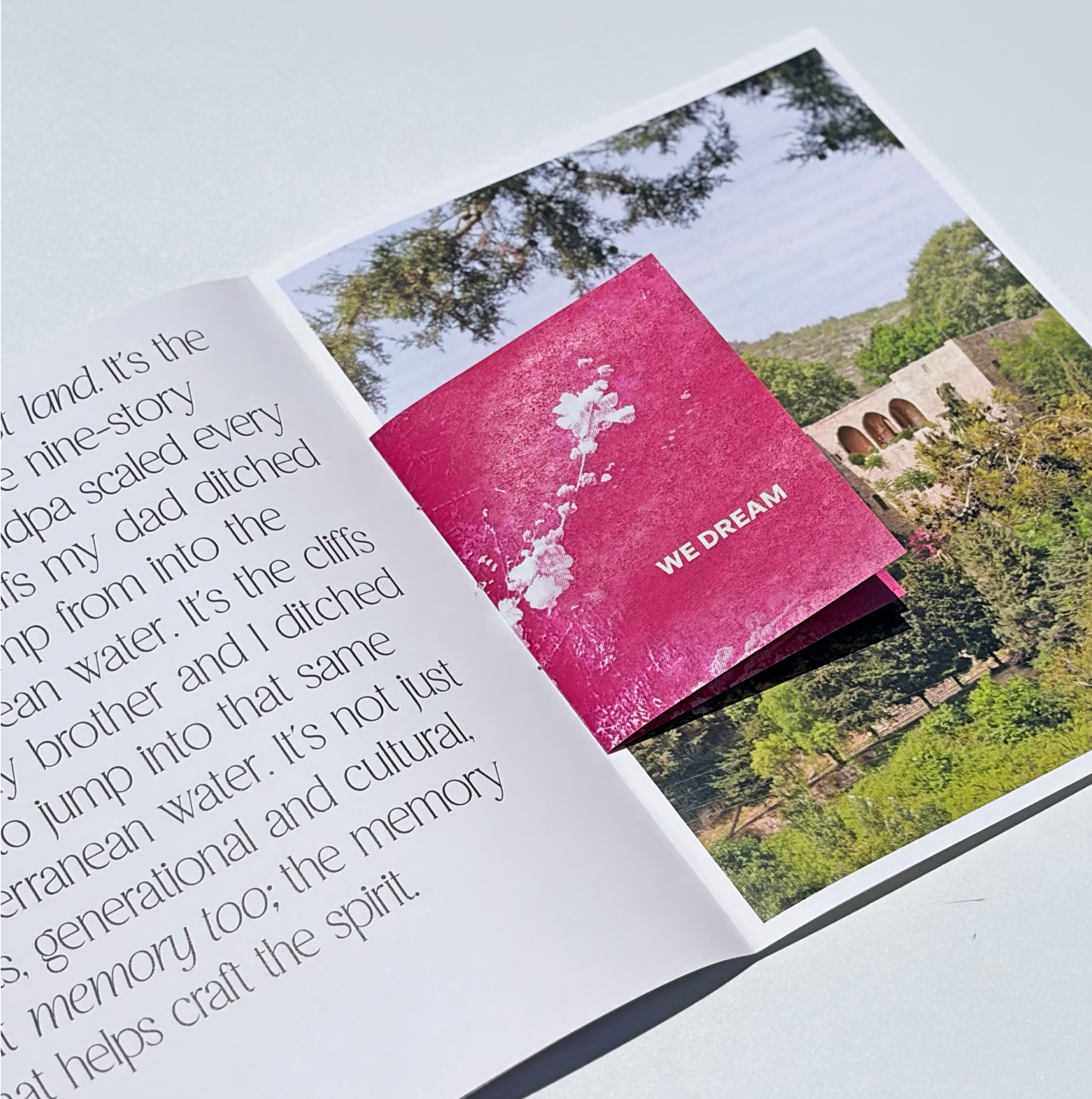 On Land Photo 1.png