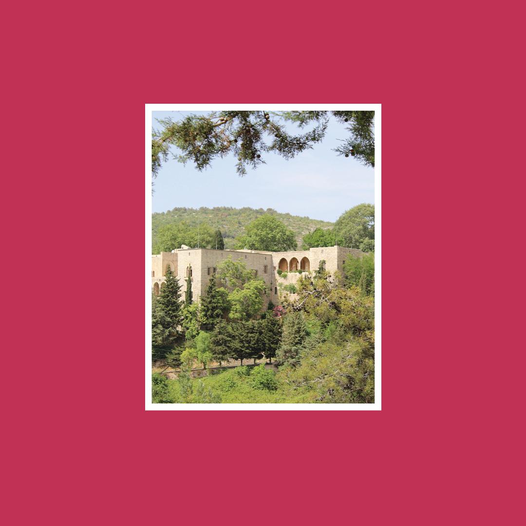 On Land Photo 4.png