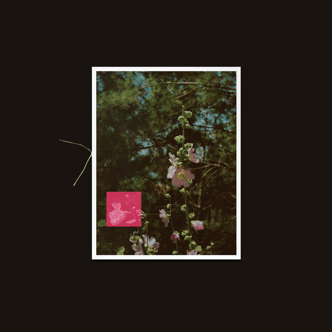 On-Land-Zine---Product-Shots---Website2.gif