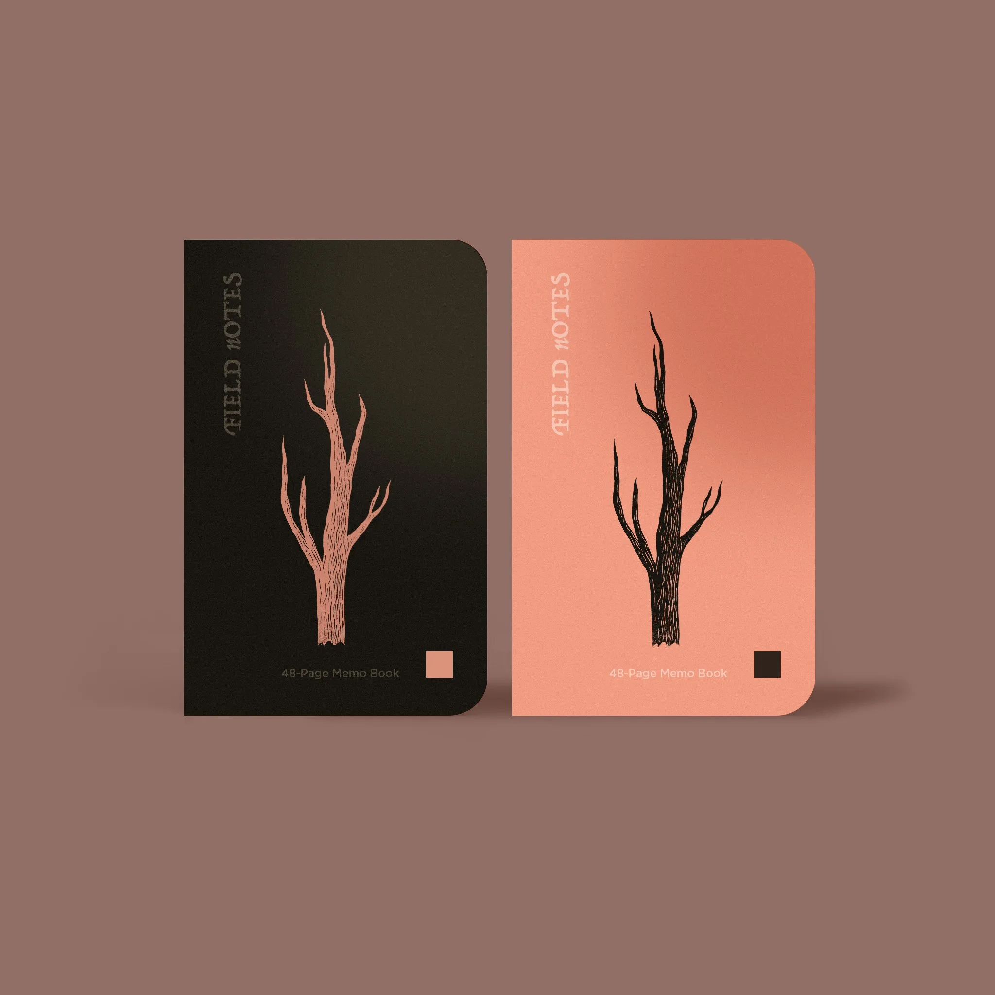 FIELD NOTES.jpg