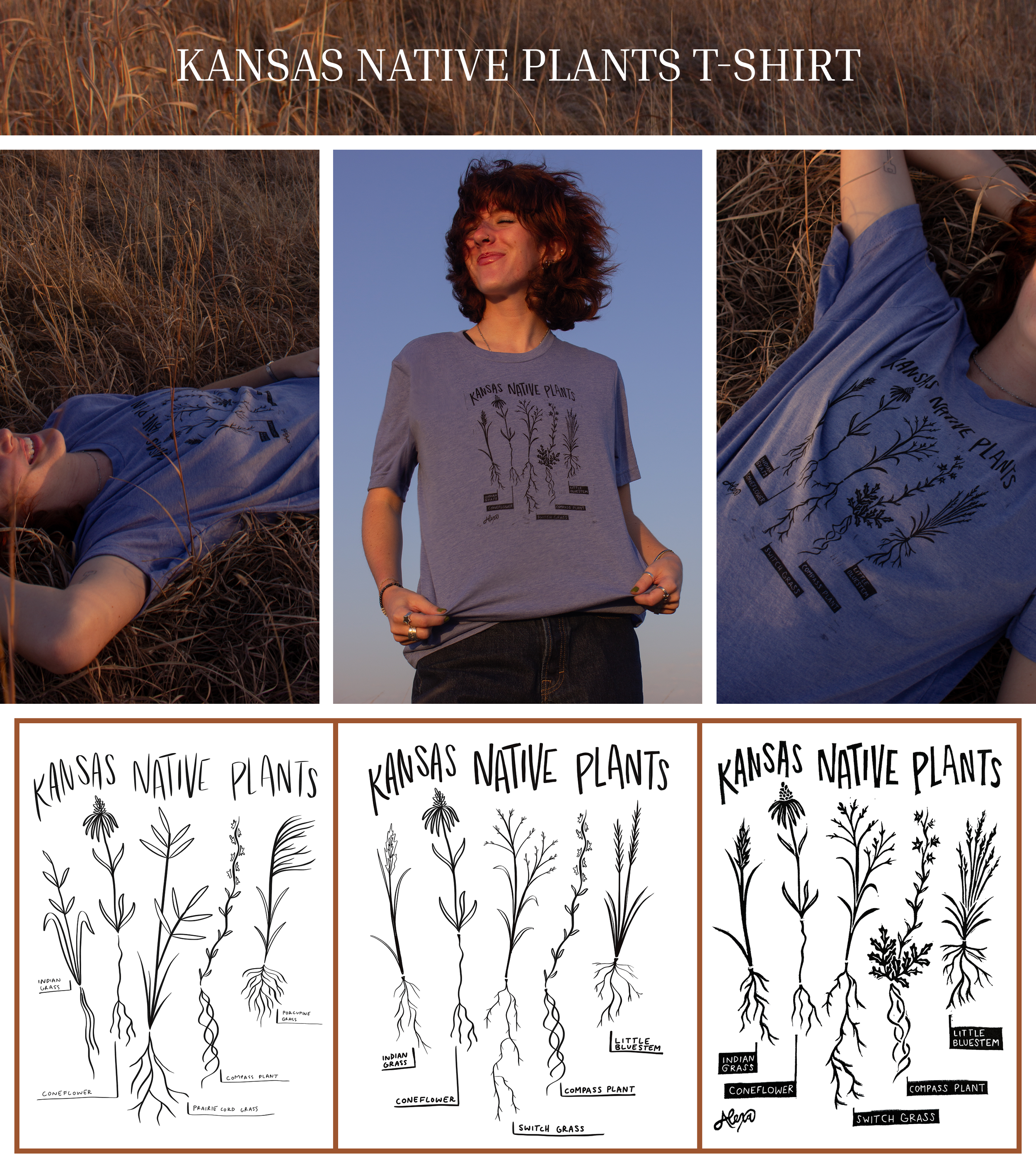 ks native plants.png