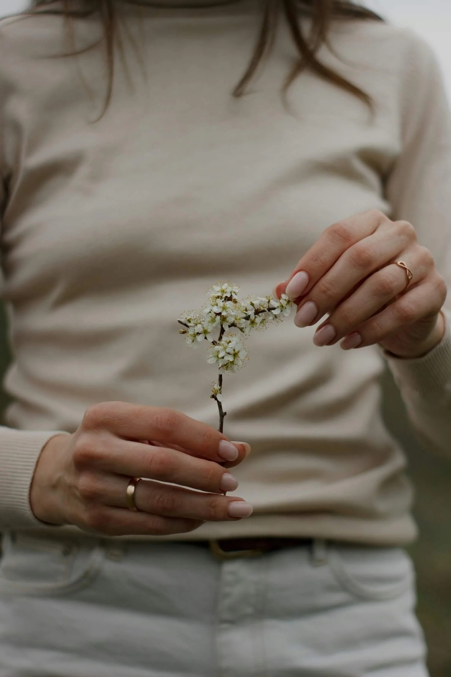 Hands gently holding a small sprig of white blossom, reflecting the tenderness and care at the heart of compassionate communication training