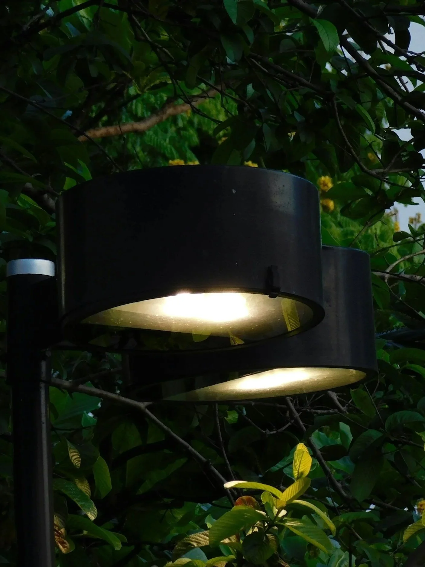 Close-up of a modern black outdoor lantern light mounted on a pole, illuminating a green leafy bush underneath at dusk or nighttime.