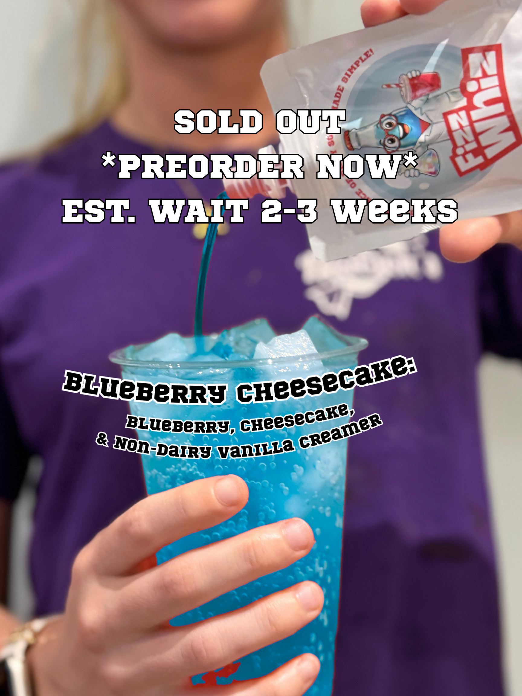 Blueberry Cheesecake 2 Pack- PREORDER