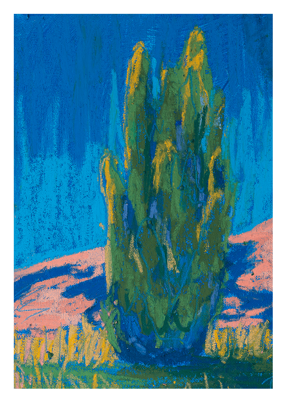 Cypress Sunset - Print