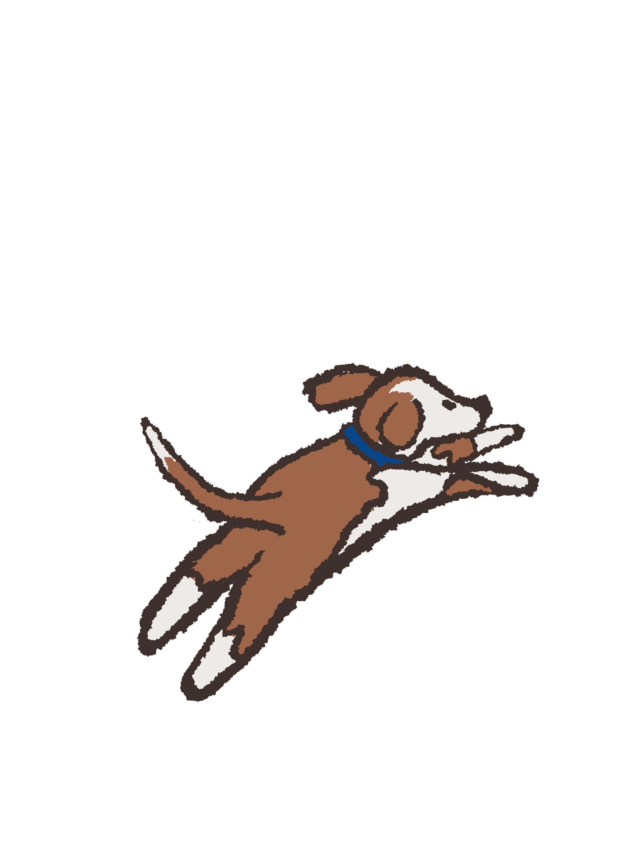 Finley_Leaps.jpg