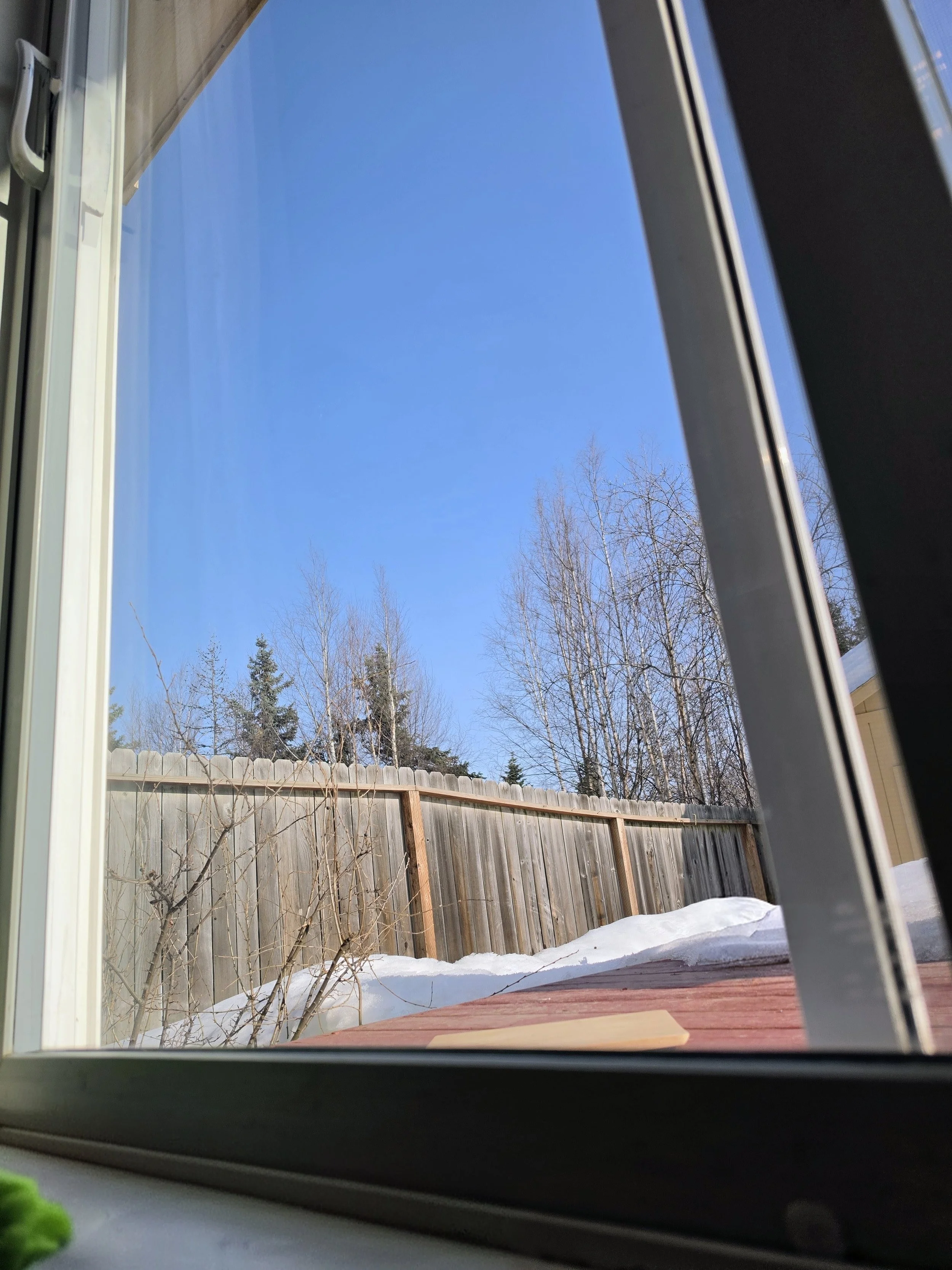 View of a snowy backyard through a partially open window with clear blue sky, leafless trees, and a wooden fence.