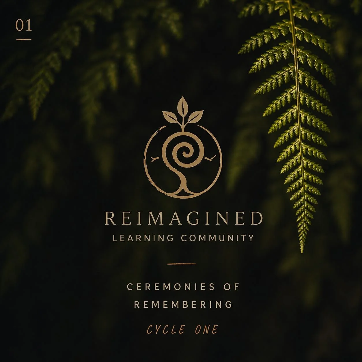 Four moons complete. Two offerings. One deeper remembering.

What Patriarchy Steals became a 4-week ritual of accountability and awareness. The Great Unlearning became an 8-week collective ceremony of remembering. Neither arrived as a course to consu